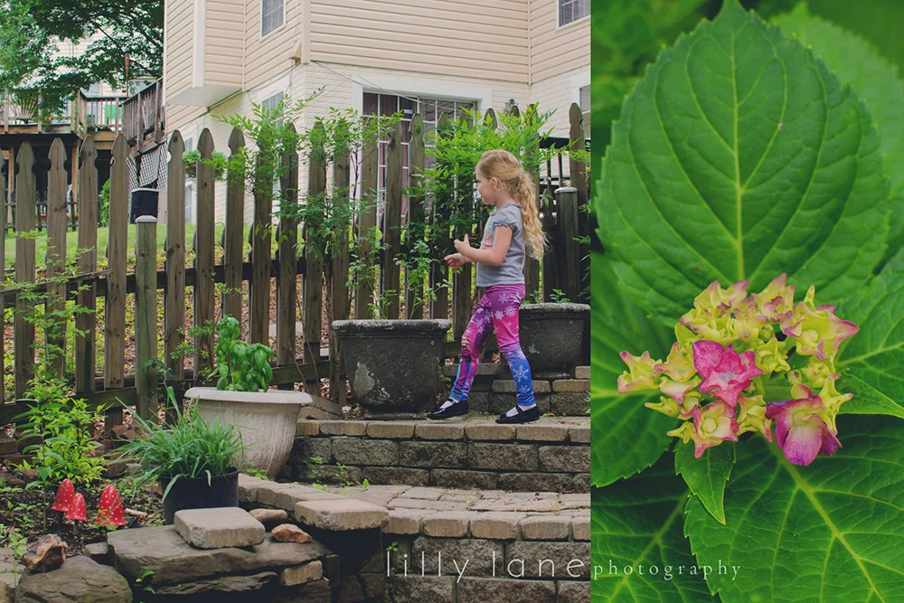 Photo compliments of Lilly Lane Photography