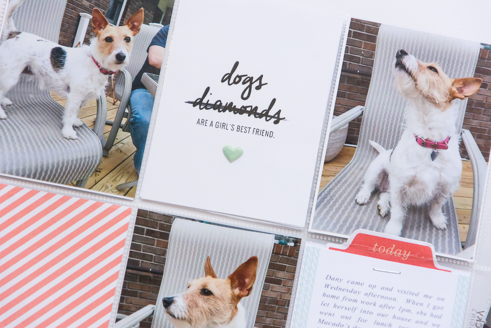 Dogs are a Girl's Best Friend | 9x12 Pocket Page Scrapbook Layout featuring Paislee Press and PrettyFluffy.com