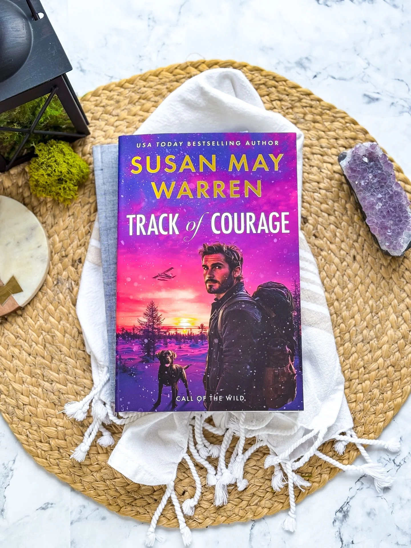 Suspense 👀 &middot; Adventure 🌄&middot; Romance 🩷 

A hijacked plane. 
A pursuing killer. 
And a K9&rsquo;s instinct to help them make it out alive.

MY REVIEW: ⭐⭐⭐⭐⭐/5! 
@susanmaywarren delivers another heart-pounding adventure in the Alaskan Wil
