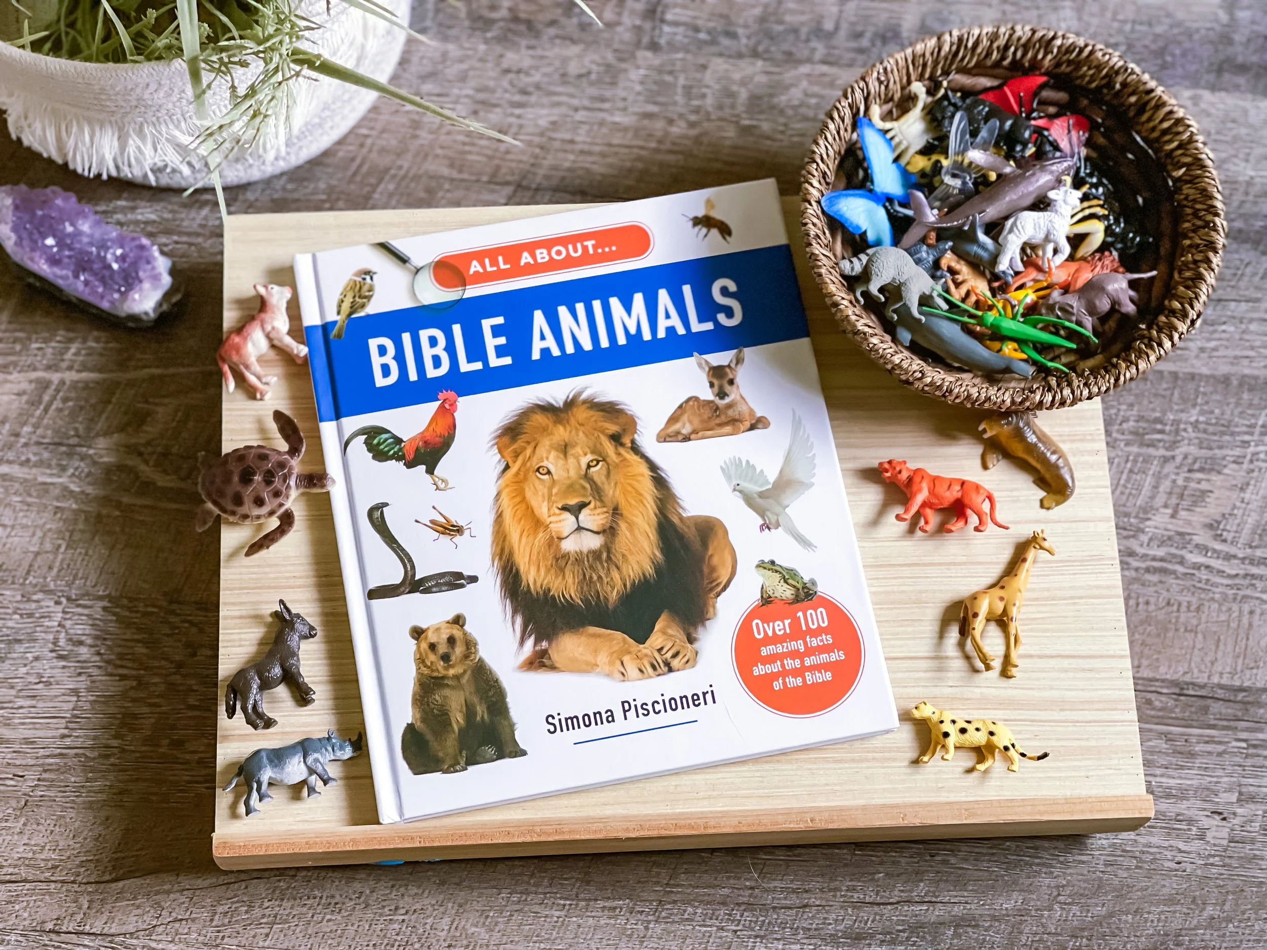 Children's Book Review: All About... Bible Animals by Simona Piscioneri, Over 100 Amazing Facts About the Animals of the Bible