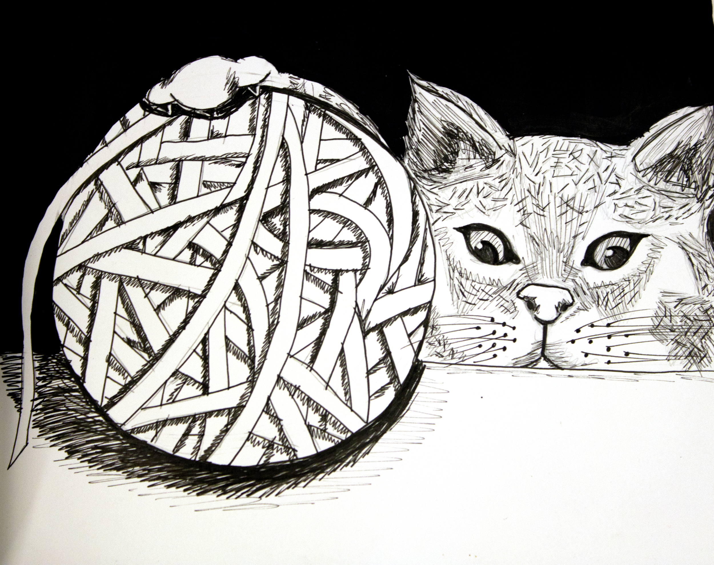  Curious Kitten  2012, ink on paper,&nbsp;6in x 8in 