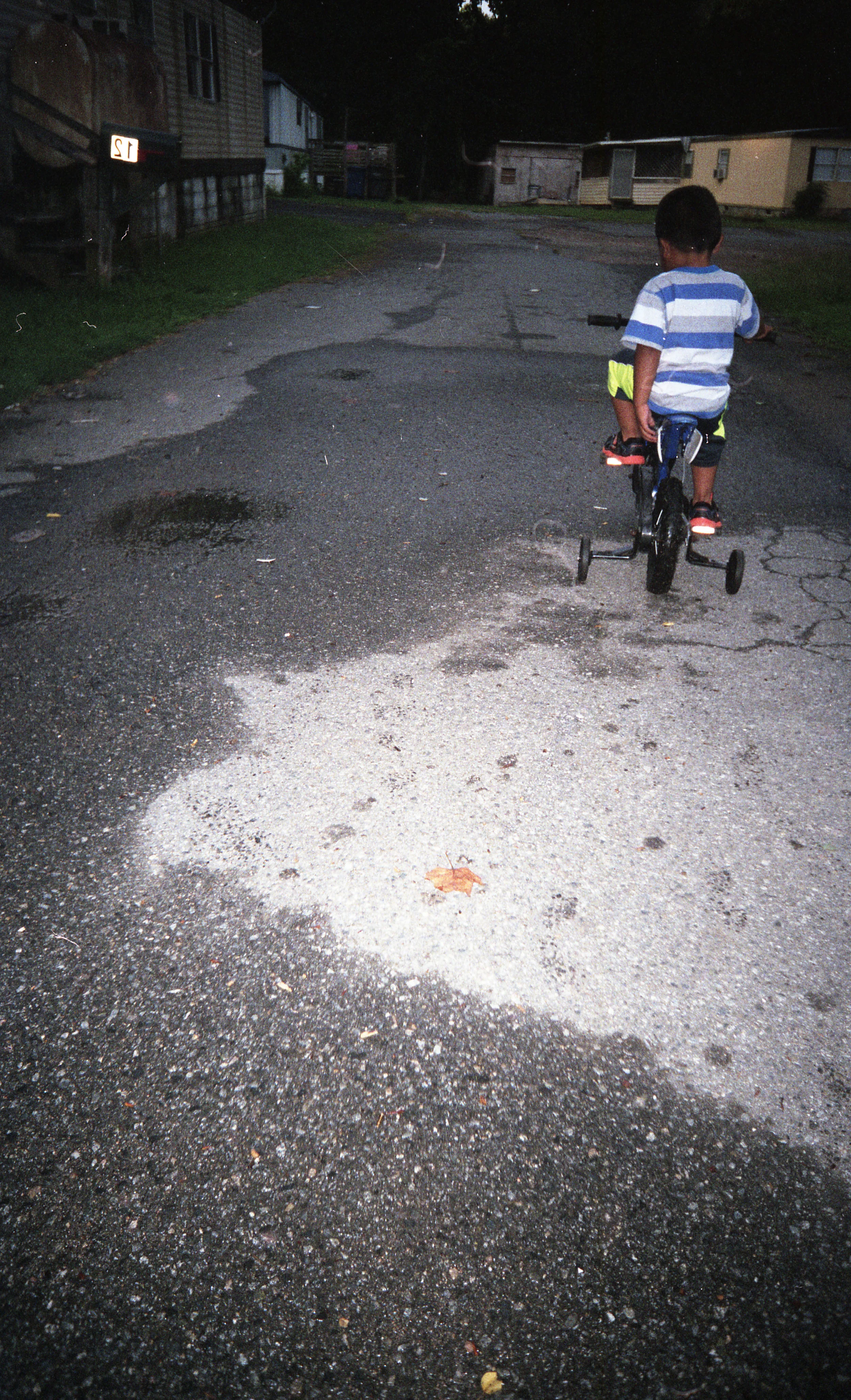 img082.jpg