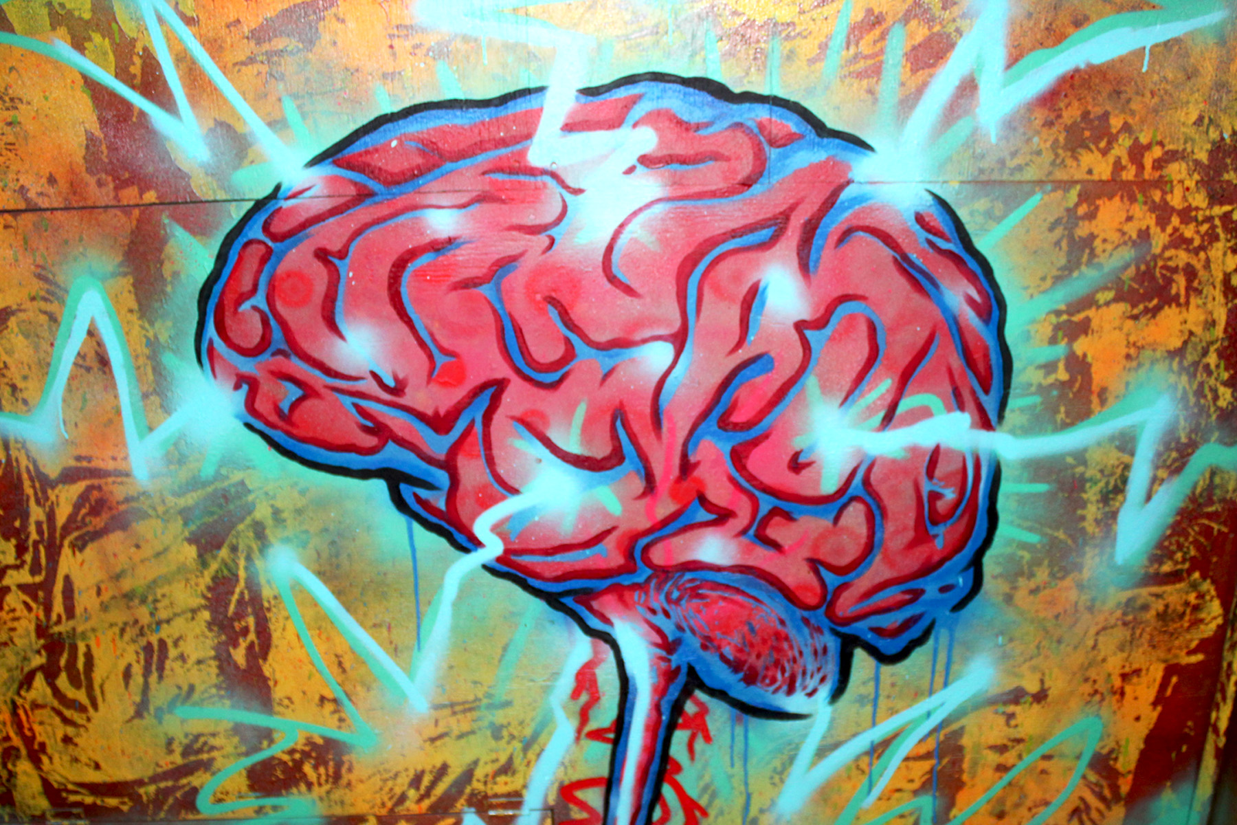 Brain_web2.jpg