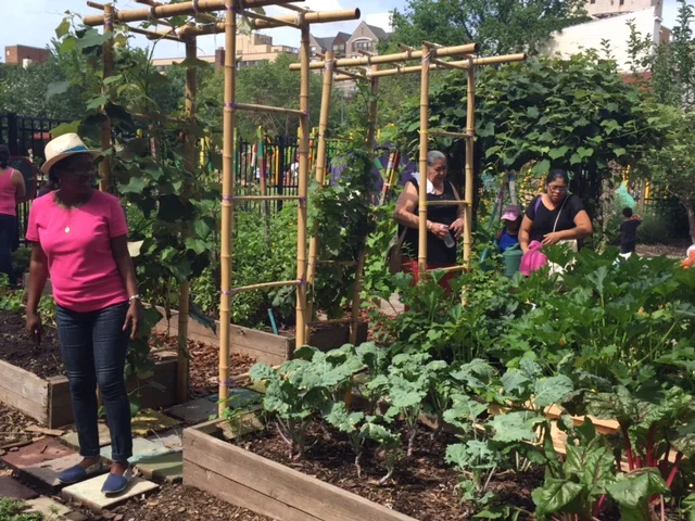 Girard Street Garden Fall Work Day