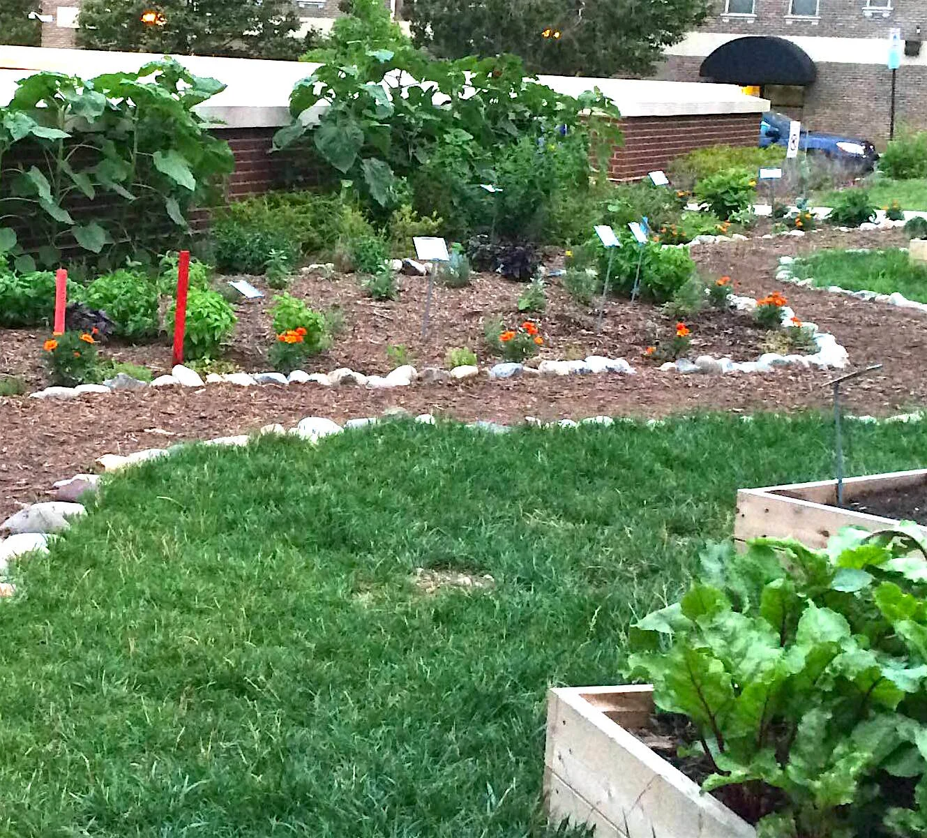 Spring Work Day and Mighty Greens Seedling Sale at Cardozo High School!  Volunteers Needed!