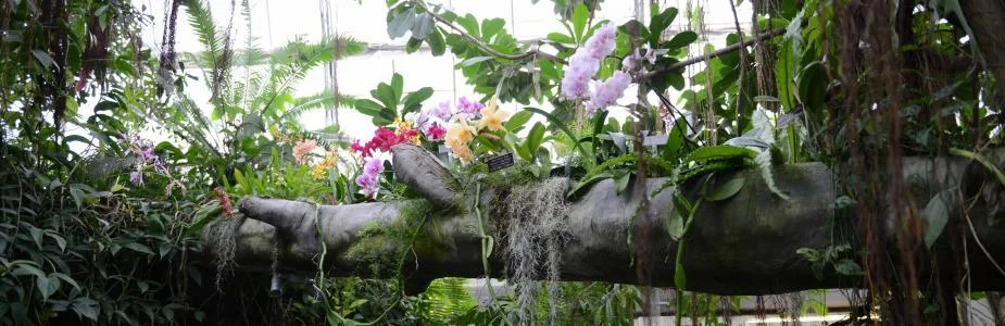 Teacher's Night at the Botanical Gardens