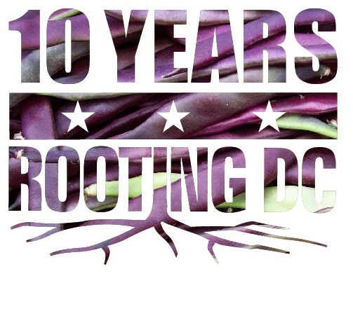 Rooting DC!