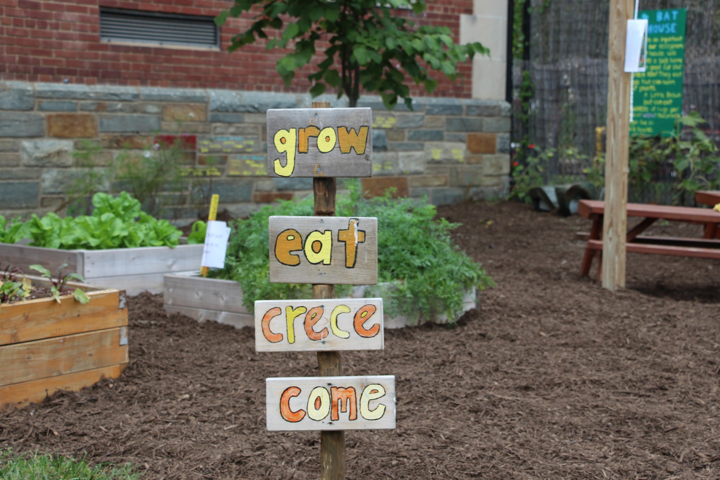 Spring Work Day at DC Bilingual!