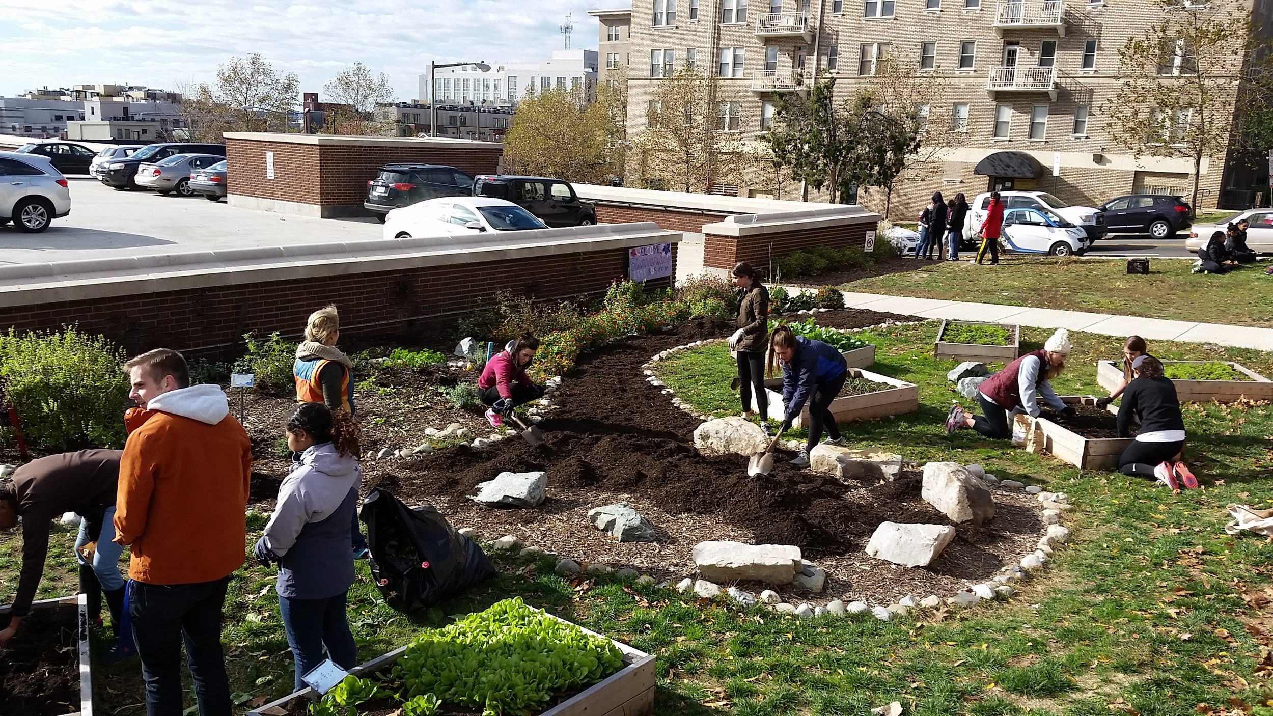 Fall Workday: Cardozo Education Campus!