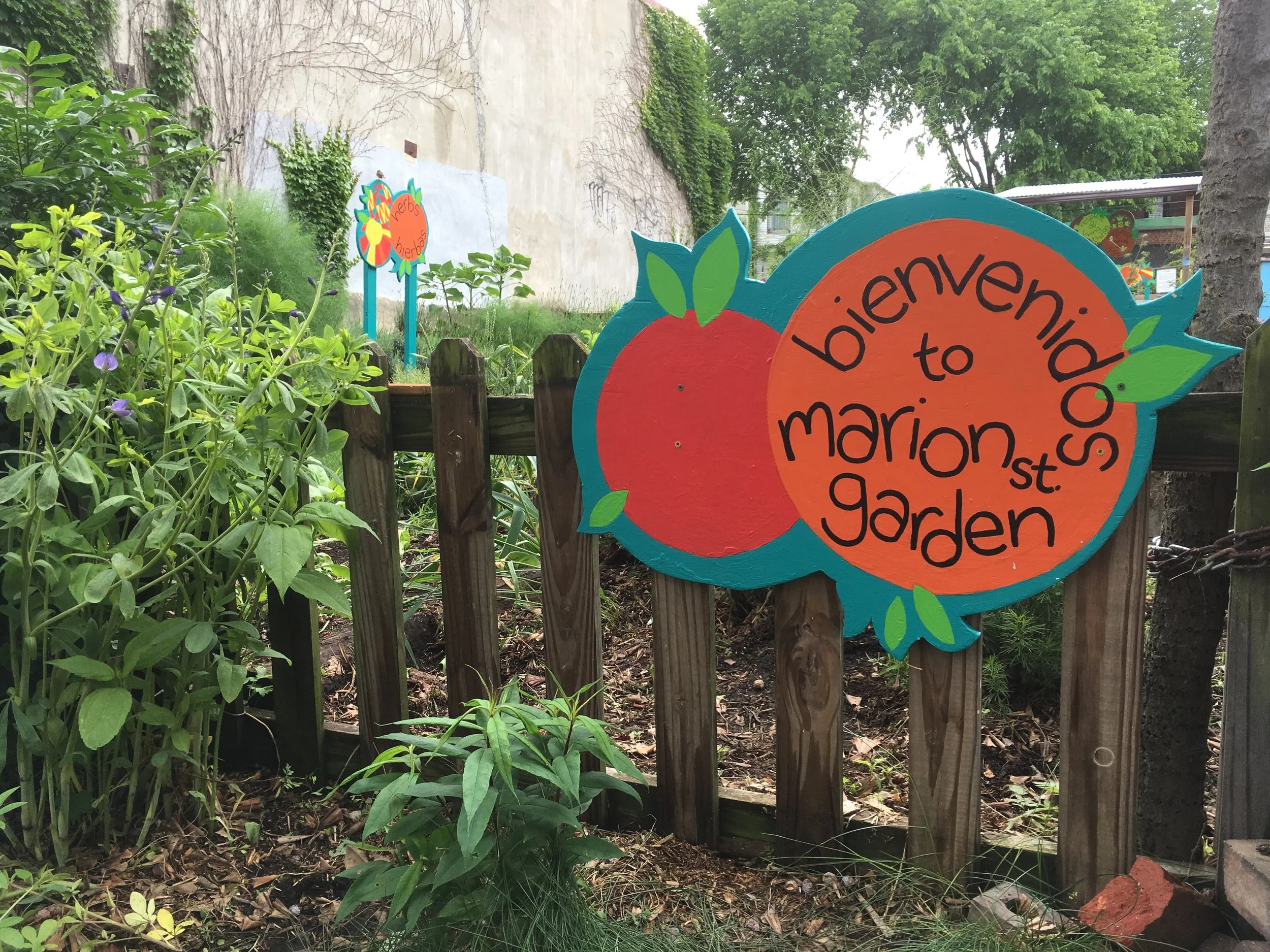 Fall Workday at Marion St. Intergenerational Garden!