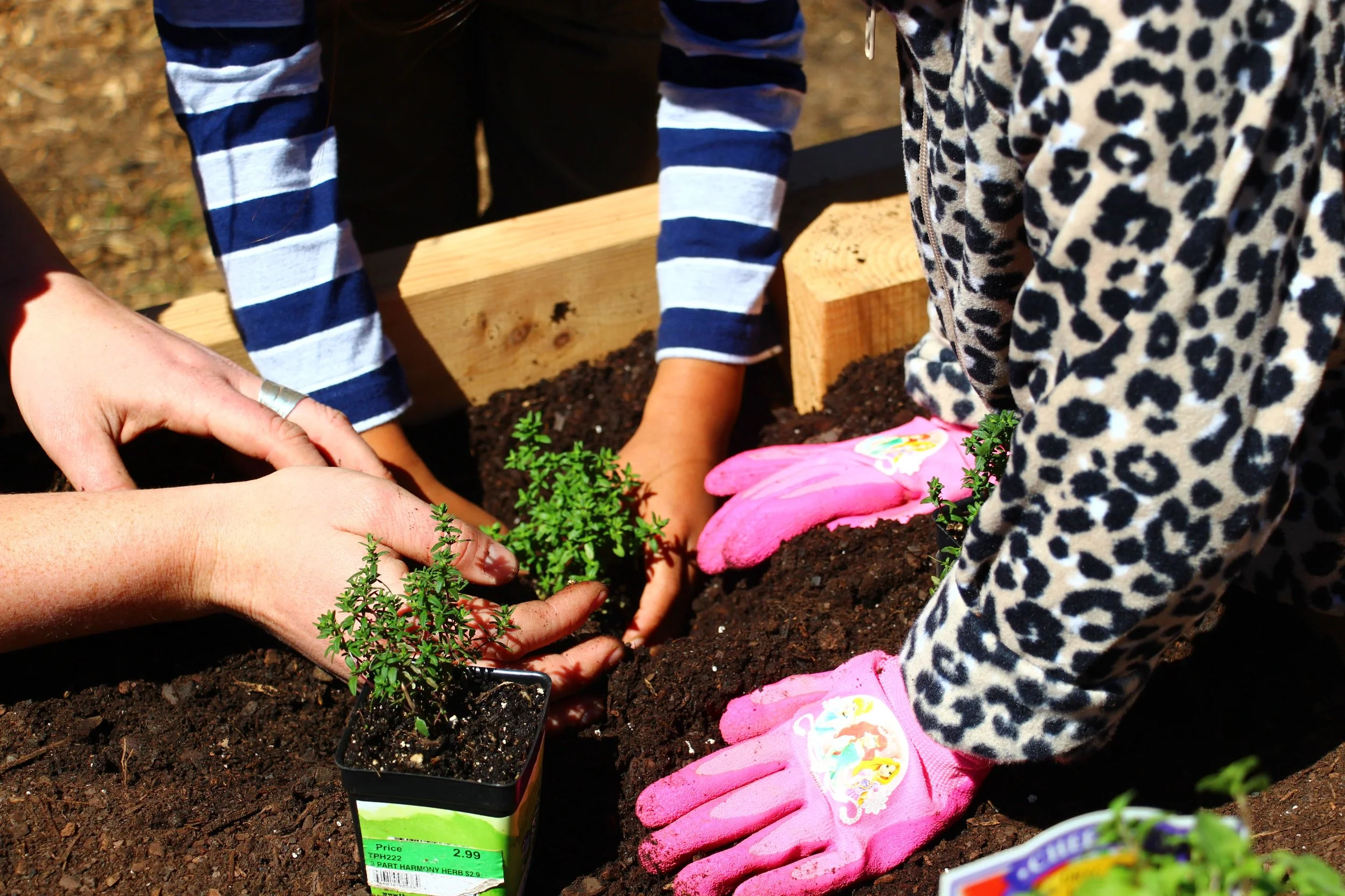 Fall Workday: Seaton Elementary!