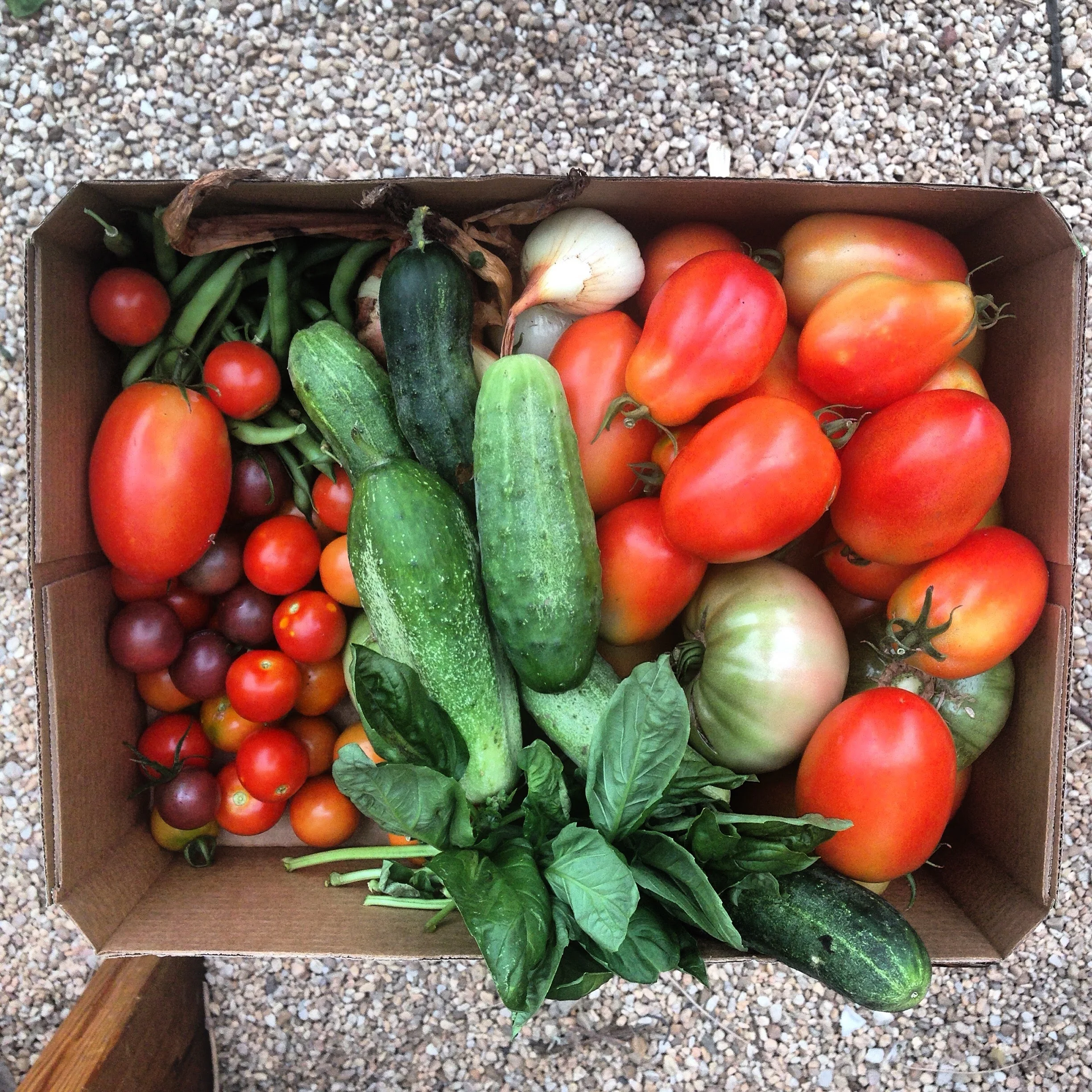 Spring Workday at Van Ness