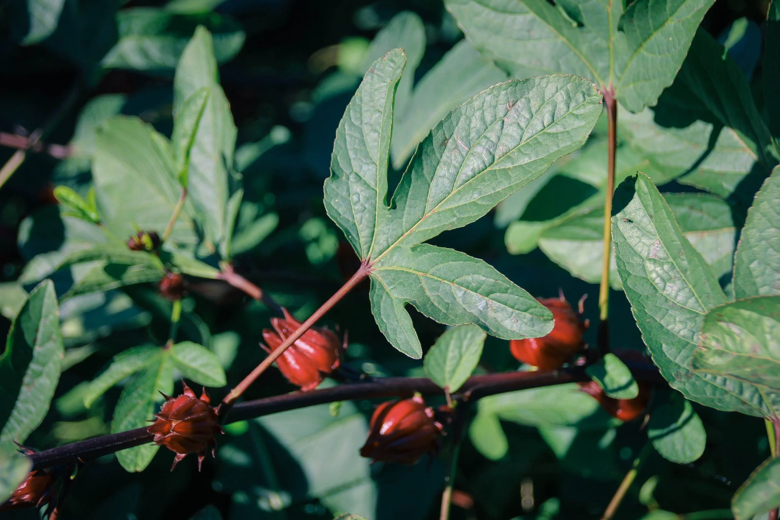 Join us at Patagonia DC!