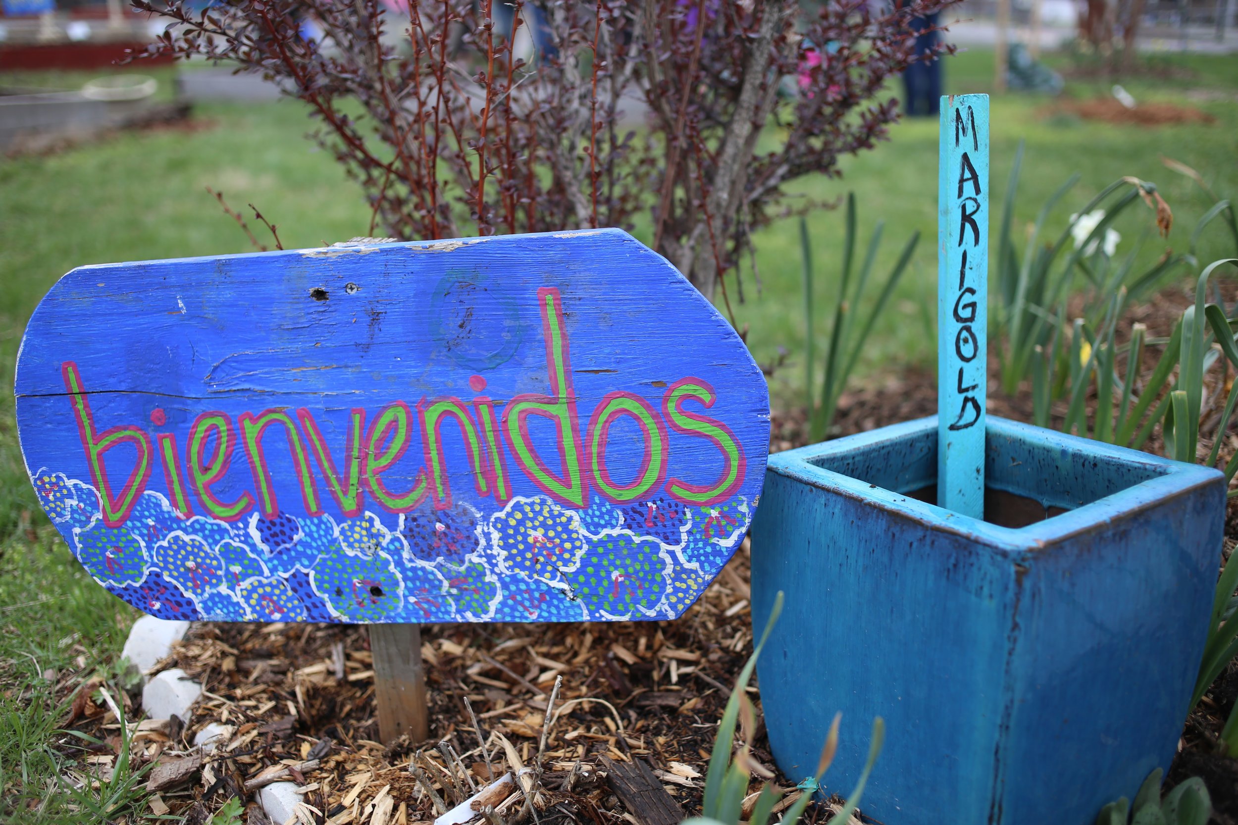 Spring Workday at West Education Campus