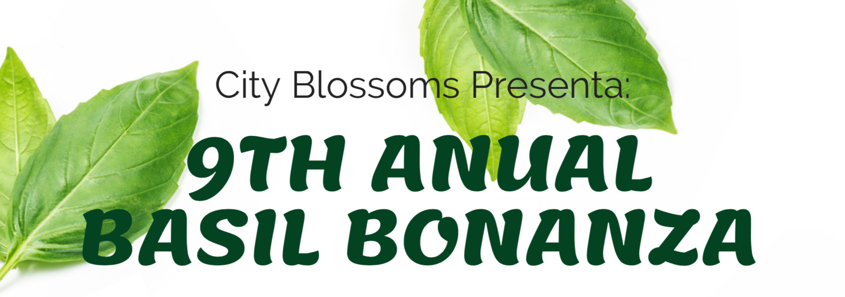 9th Annual Basil Bonanza