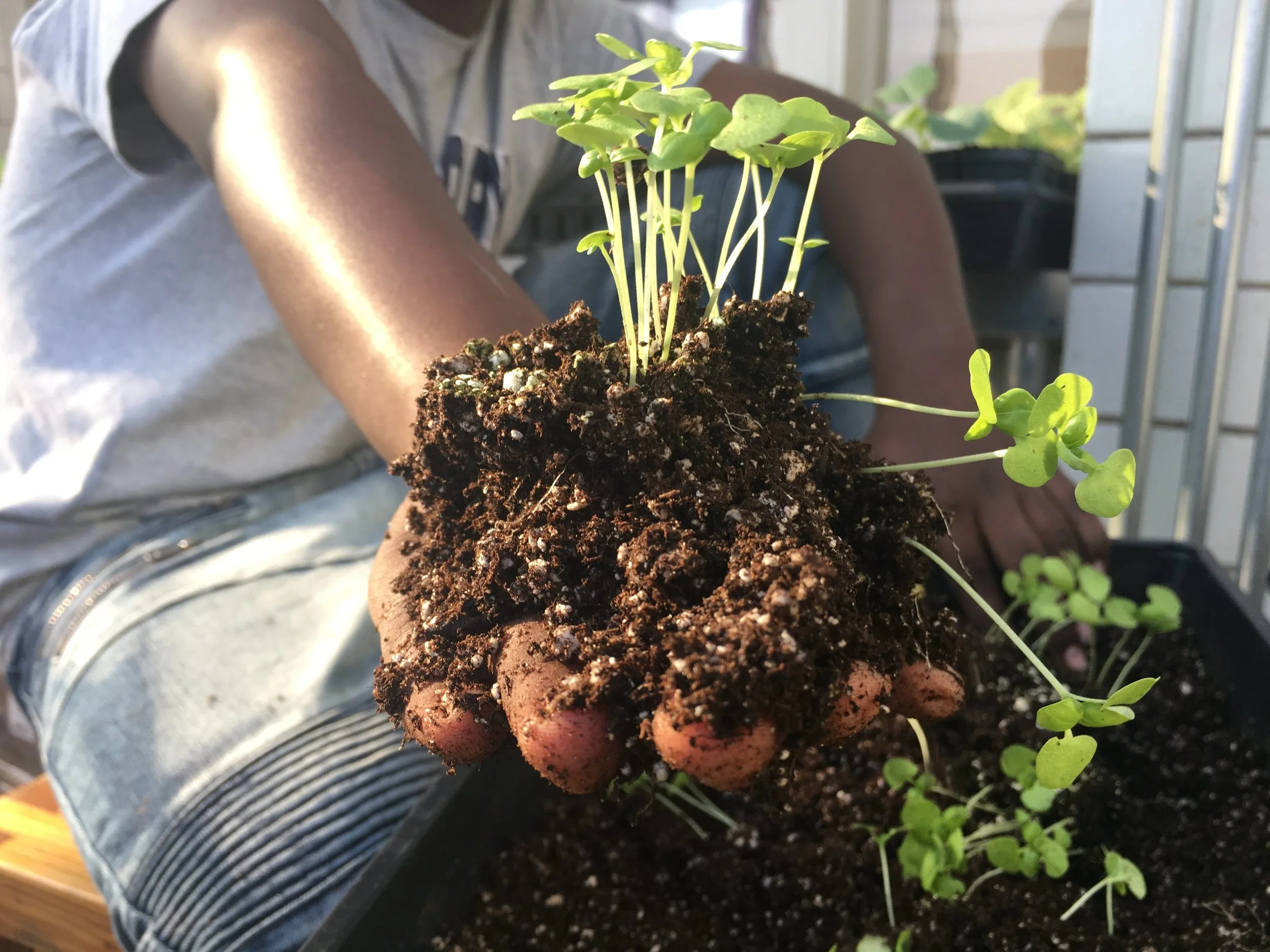 The Food Project Winter Institute