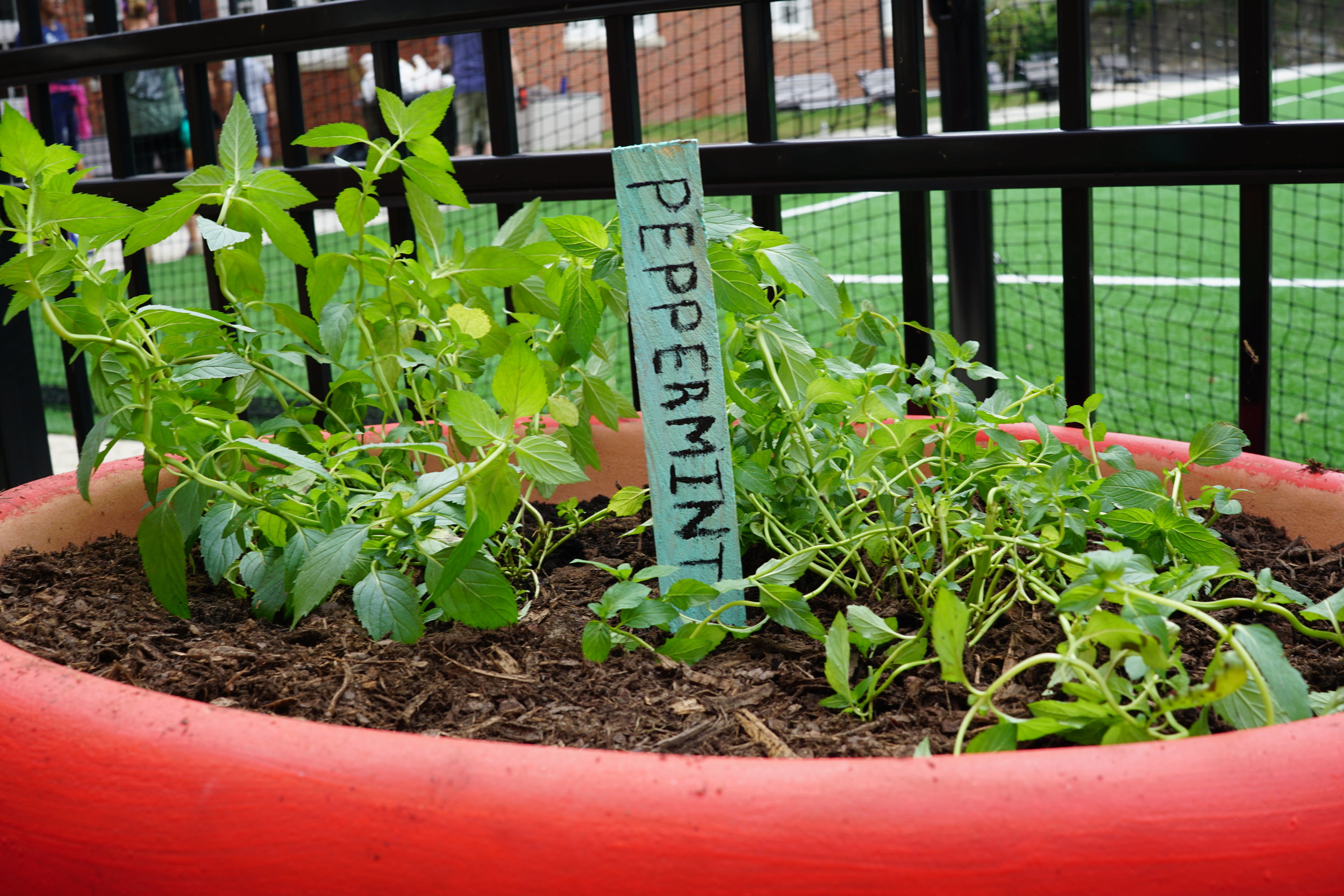 New Garden Build at Eagle Academy