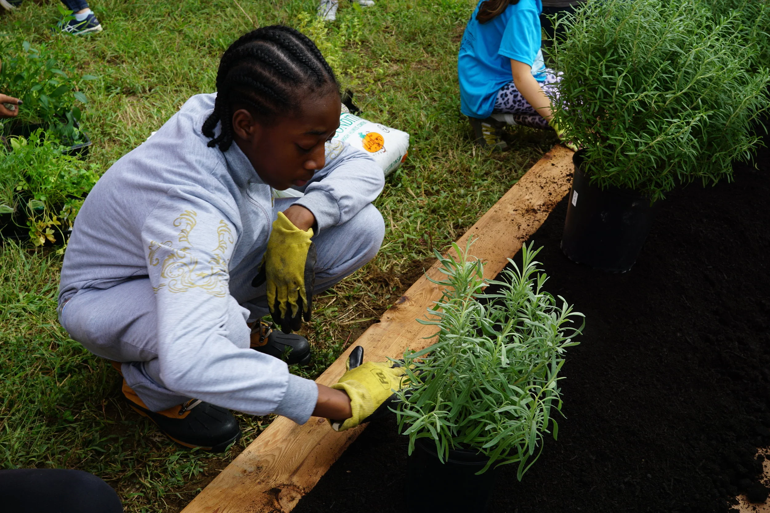 DCI Family Garden Workday!
