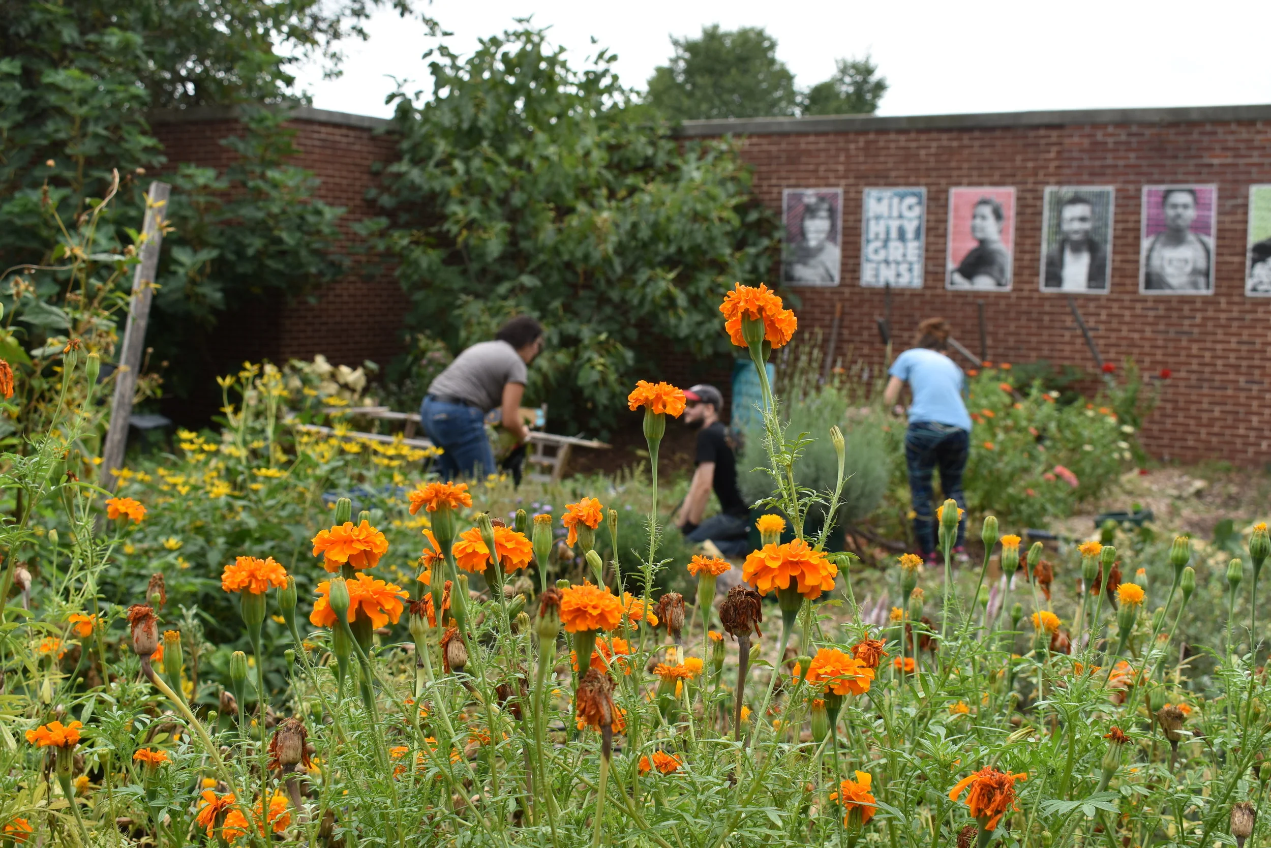 Fall Workday at Eastern High School