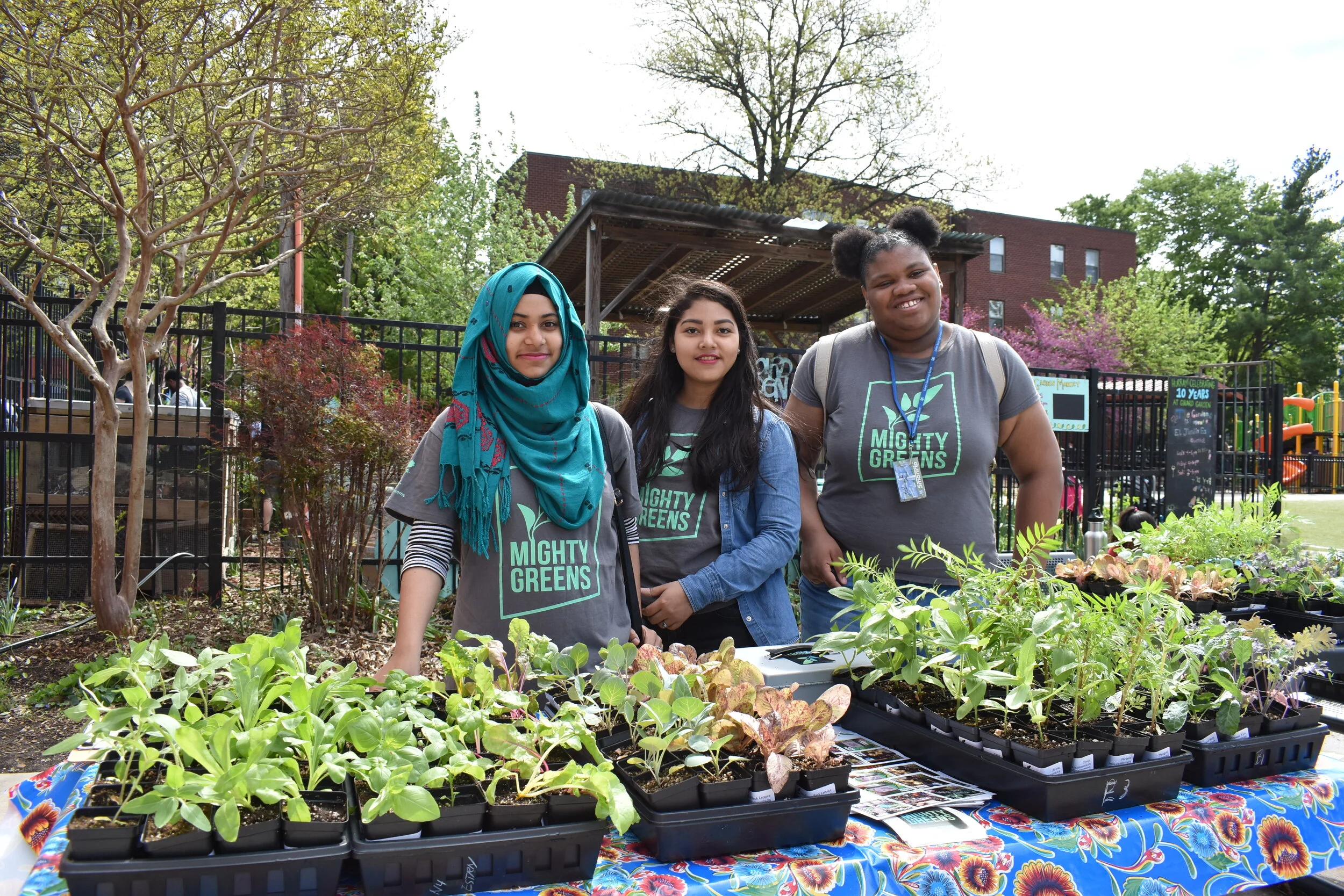 CANCELED - Mighty Greens Seedling Sale Pop-Up at Girard!