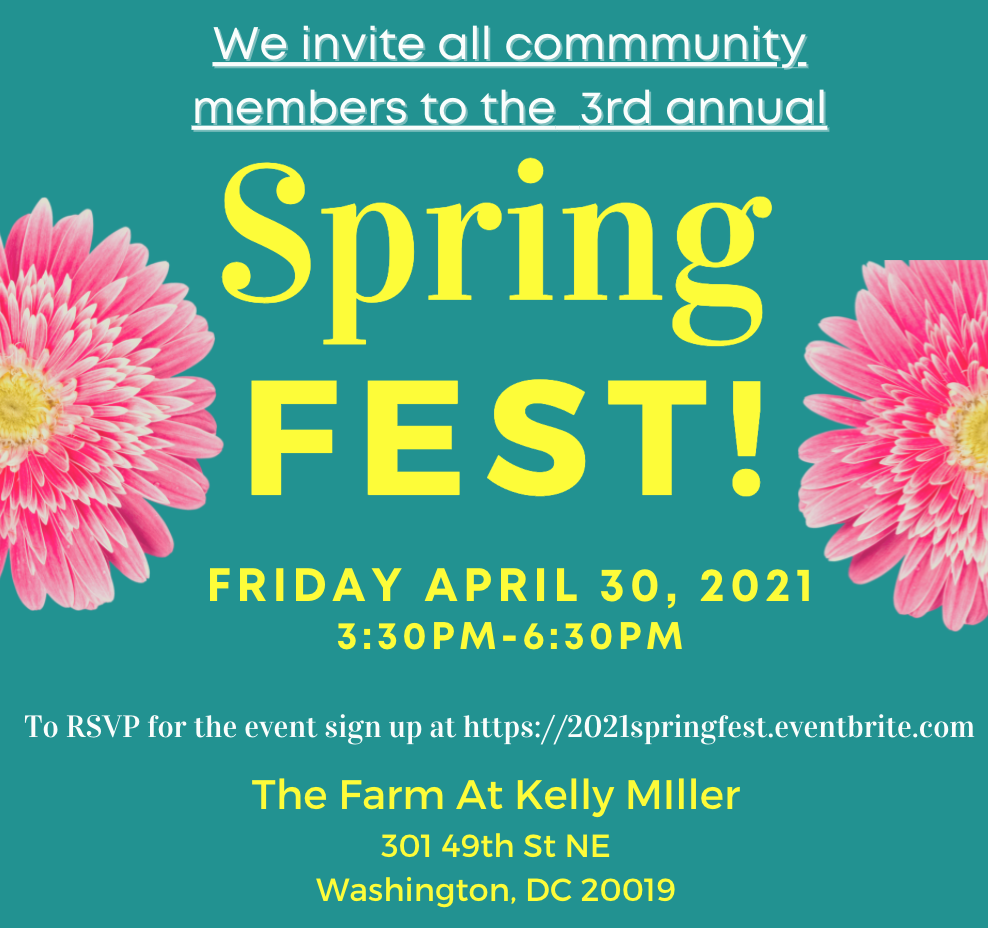 3rd Annual Spring Festival!