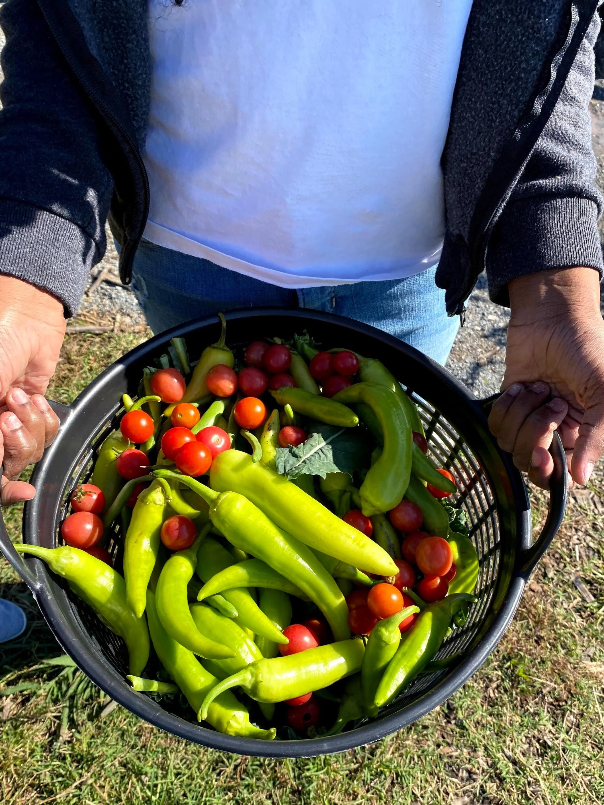 Volunteer Workday at The Farm at Kelly Miller Youth Garden
