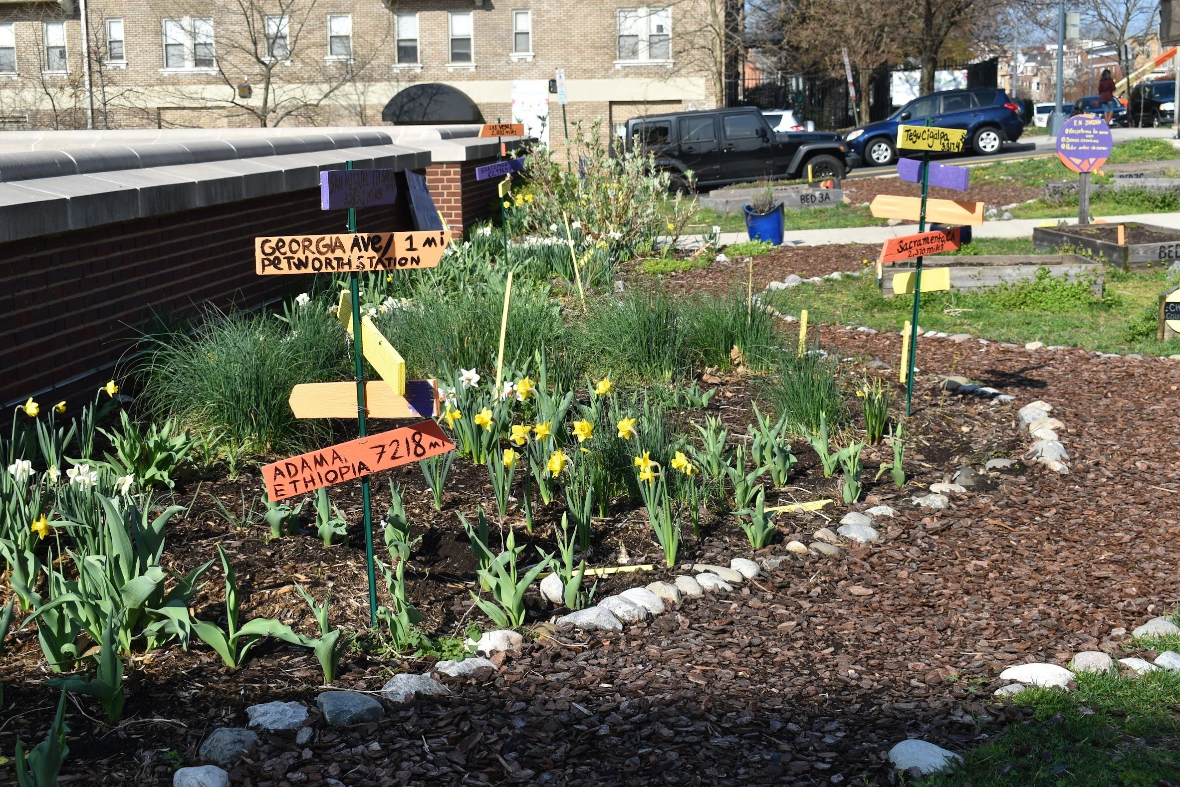 Volunteer Opportunity: Cardozo EC Garden Workday!