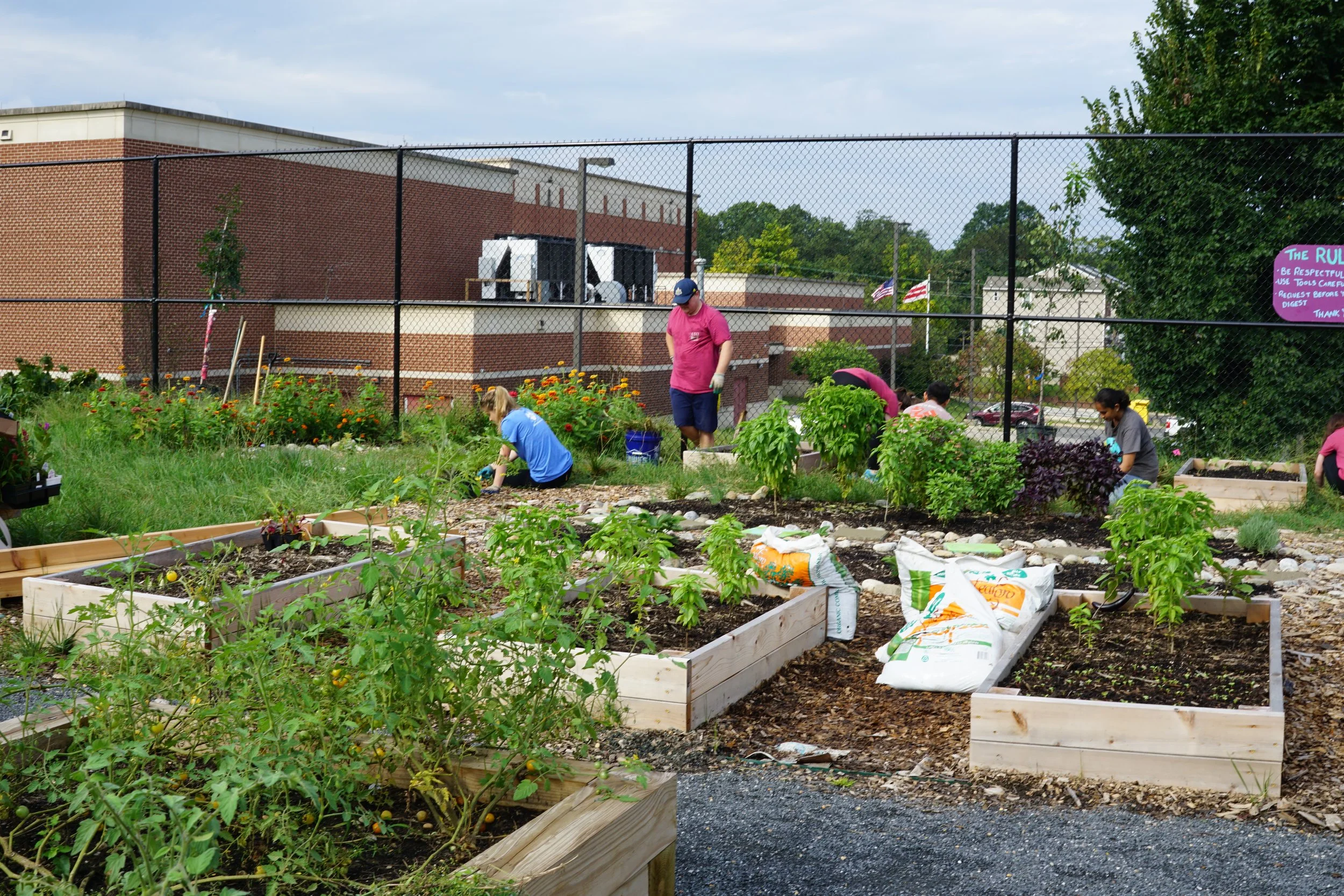 Volunteer Opportunity: The Youth Garden at the Farm at Kelly Miller Workday!