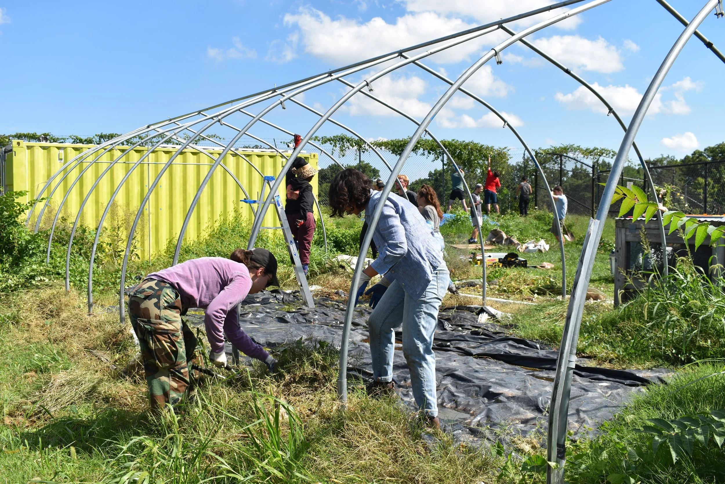 Volunteer Opportunity: Fort Stanton Urban Farm Workday! 