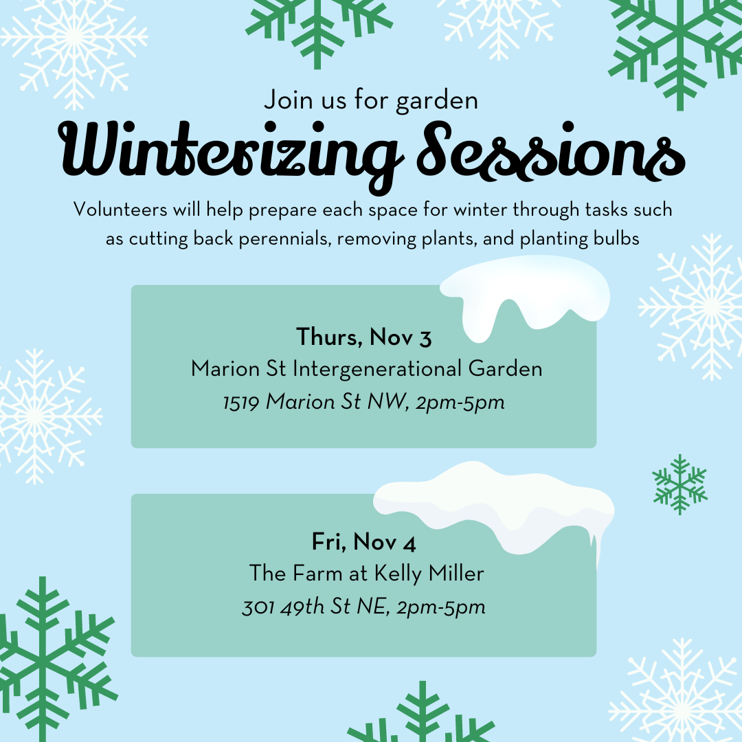 "Winterizing" at the Farm at Kelly Miller Youth Garden