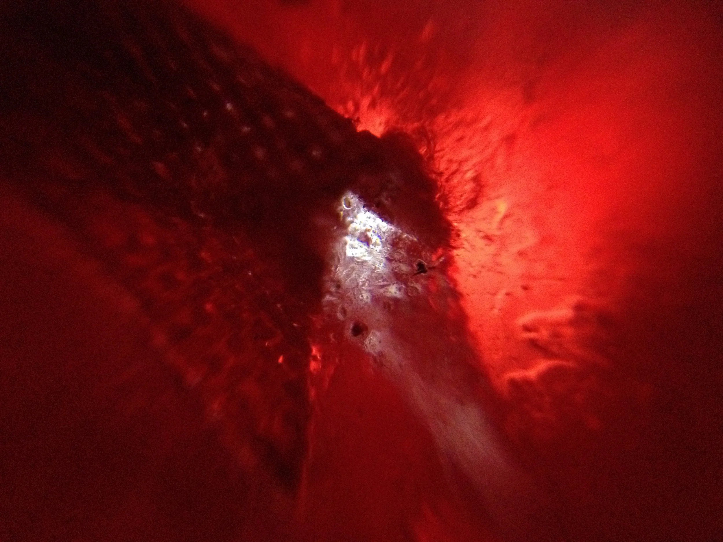 Magnified slide images using the microscope