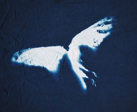 scan 50Mb #2192-10web.jpg