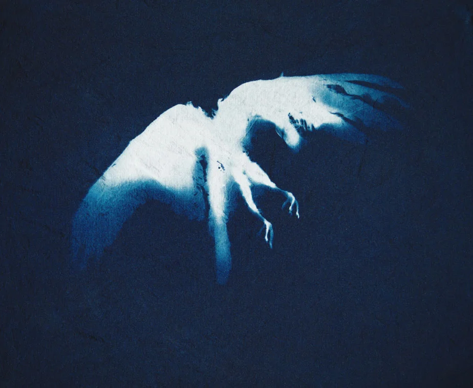 scan 50Mb #2192-14web.jpg