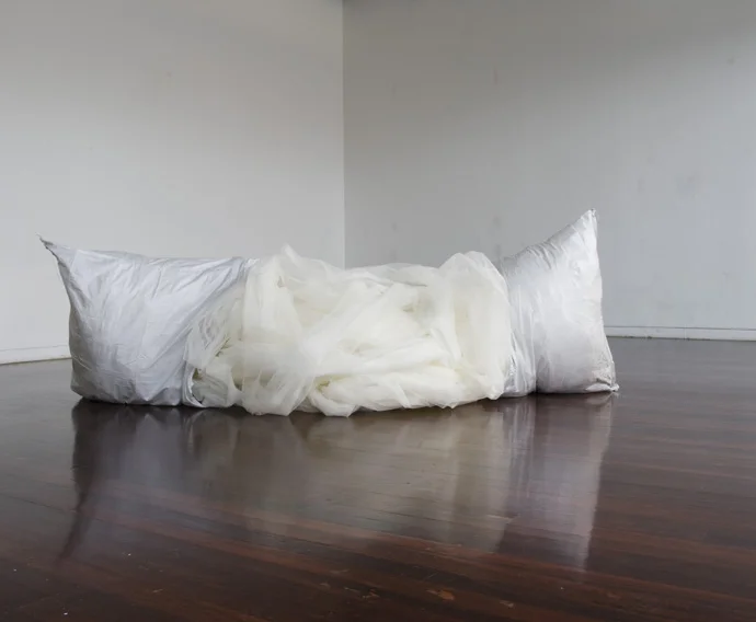 push me pull youweb.jpg