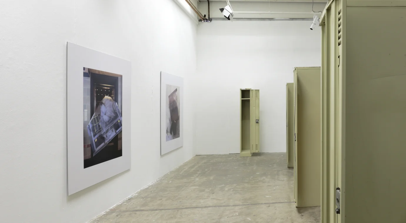  image credit: Tim Gresham 