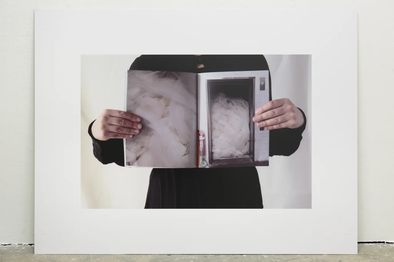  image credit: Tim Gresham 