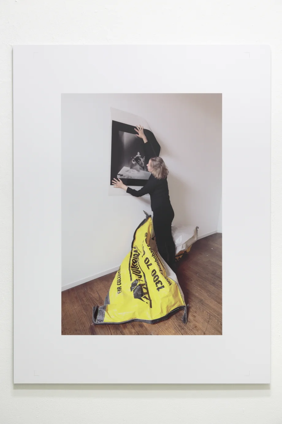  image credit: Tim Gresham 