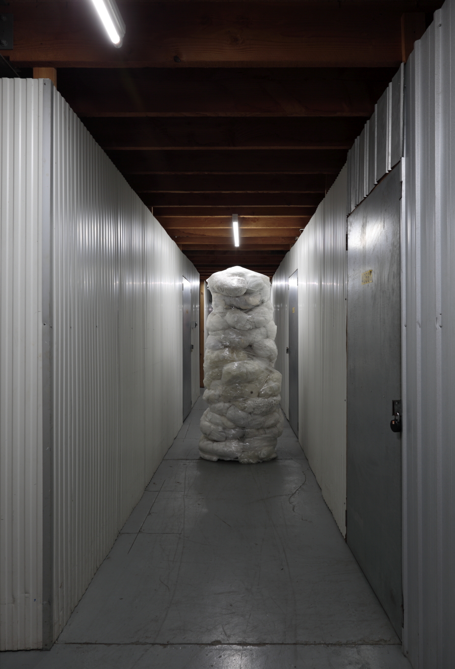 Image credits: Tim Gresham