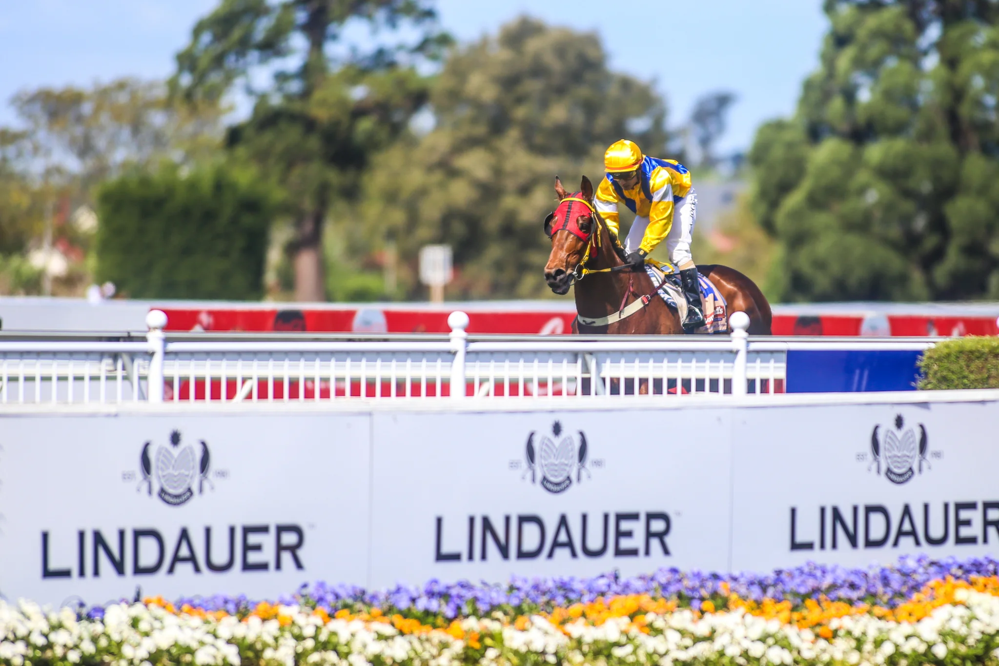 Riccarton-Wednesday9th-Email-9.jpg