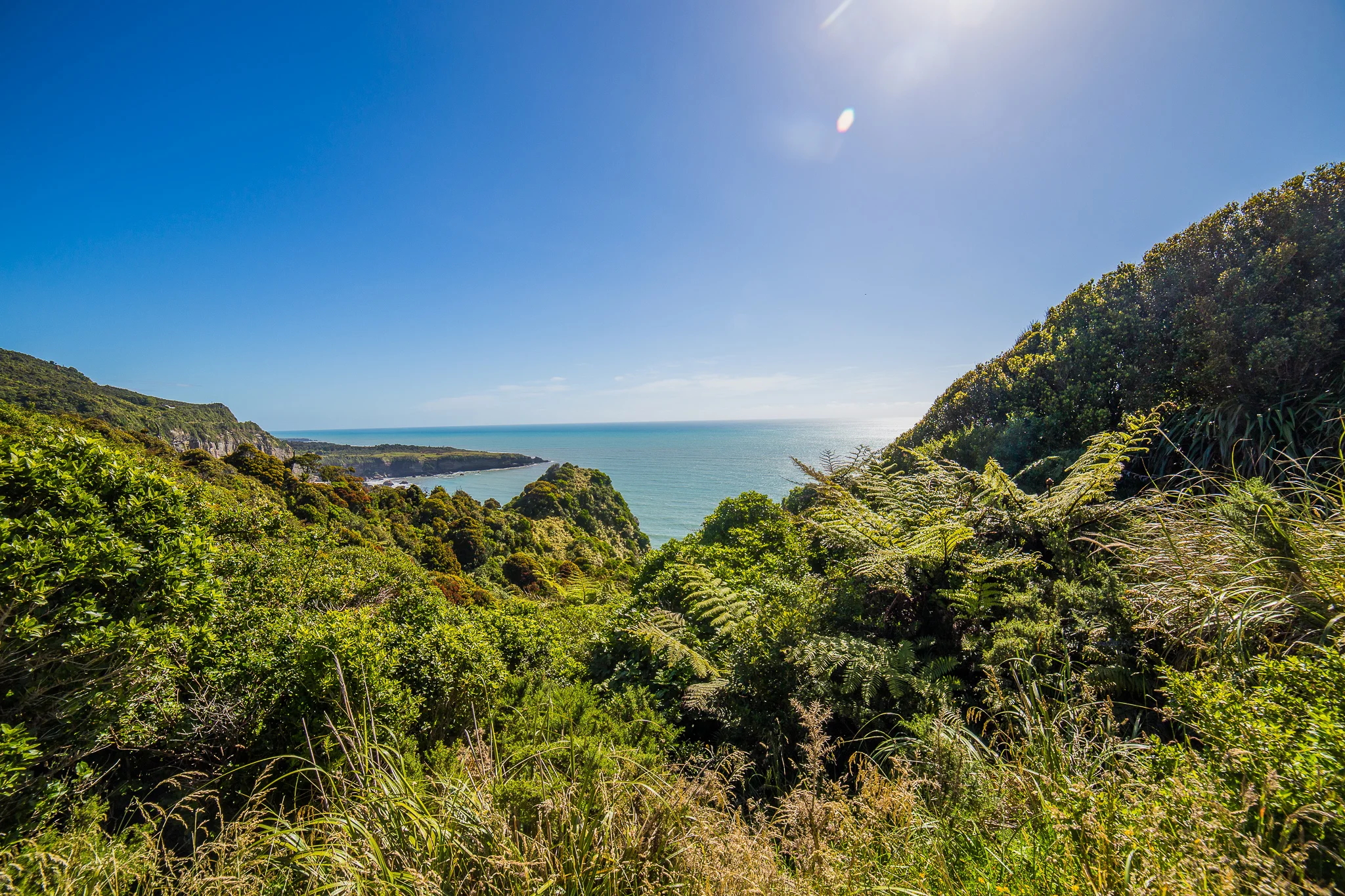 Coast-9195.jpg