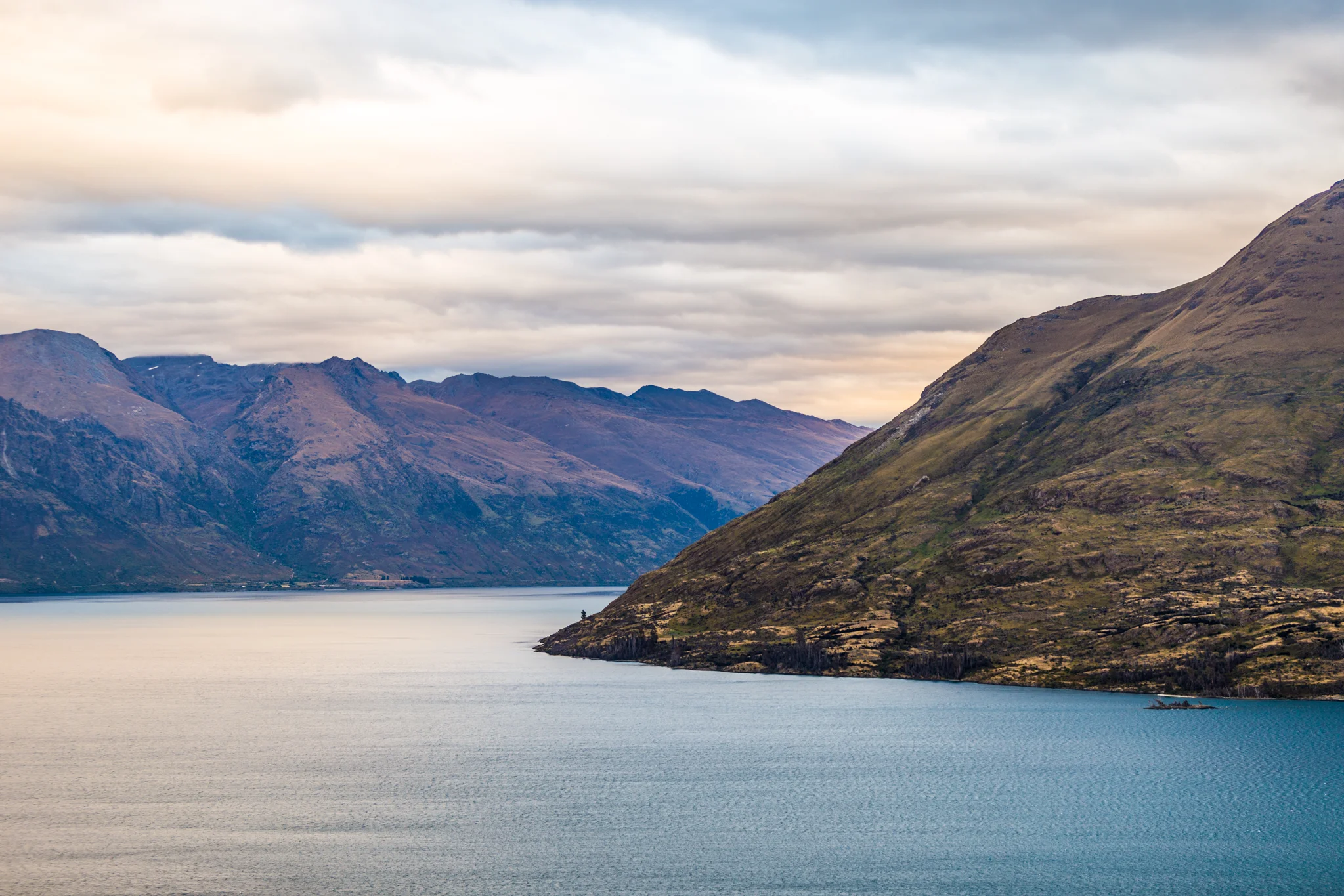 mtcook-1-2.jpg