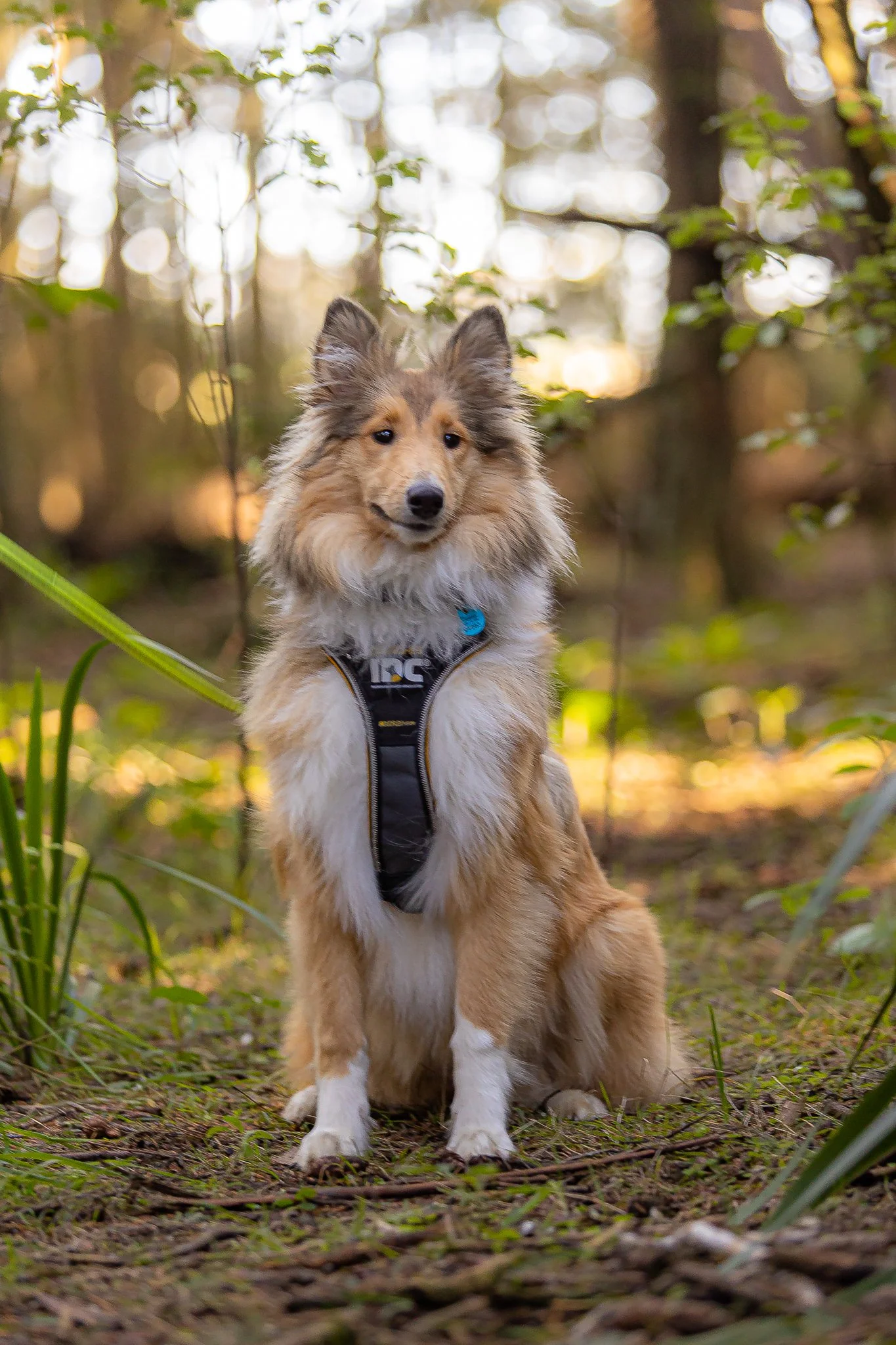 220522-SICC Walk-1.jpg