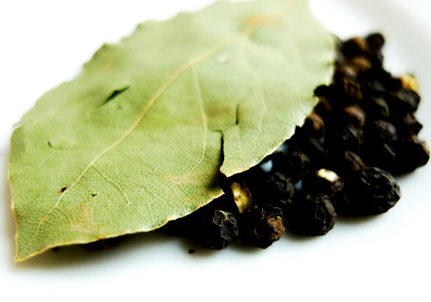Bay Leaf & Peppercorns