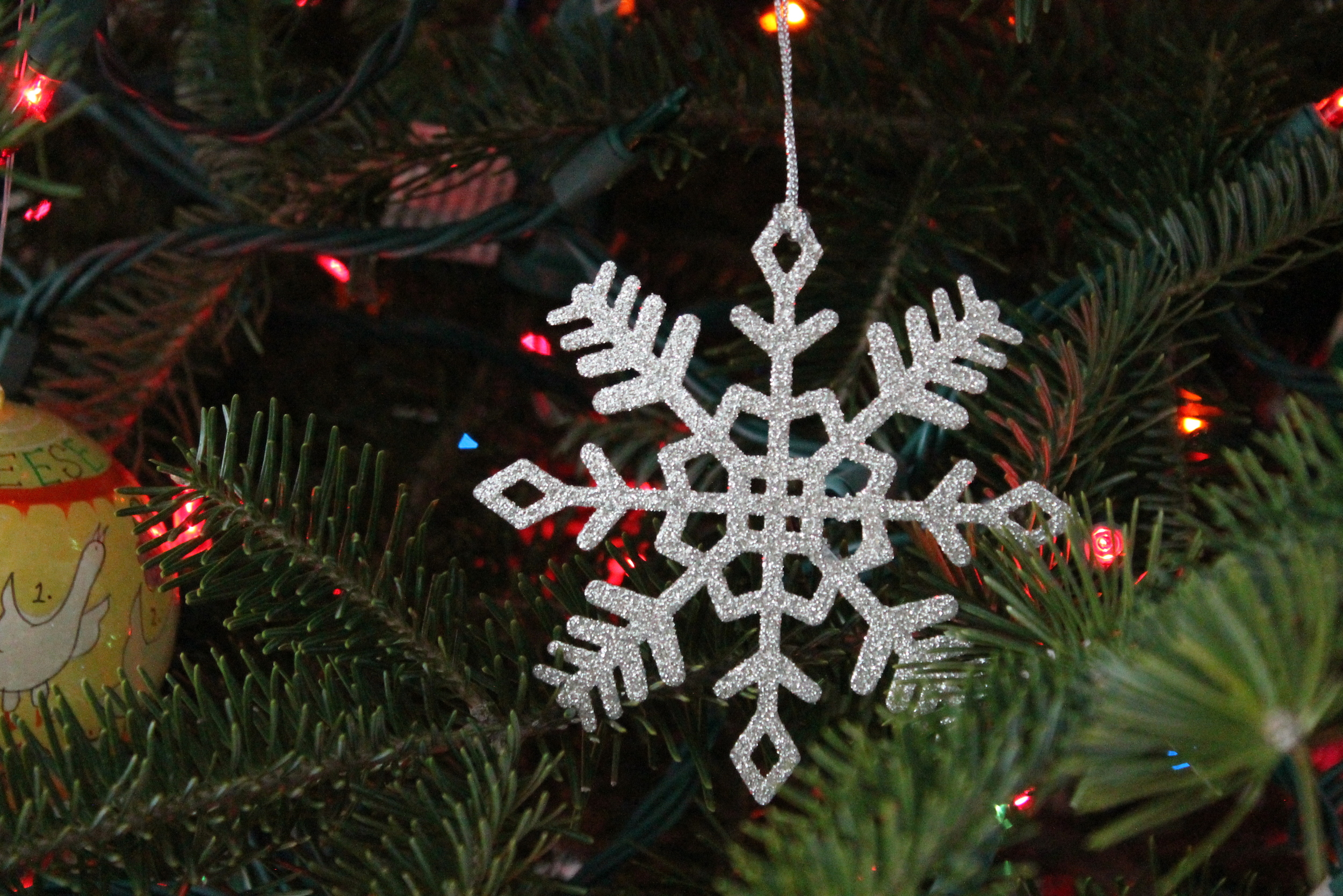 sparkling Snowflake Ornament