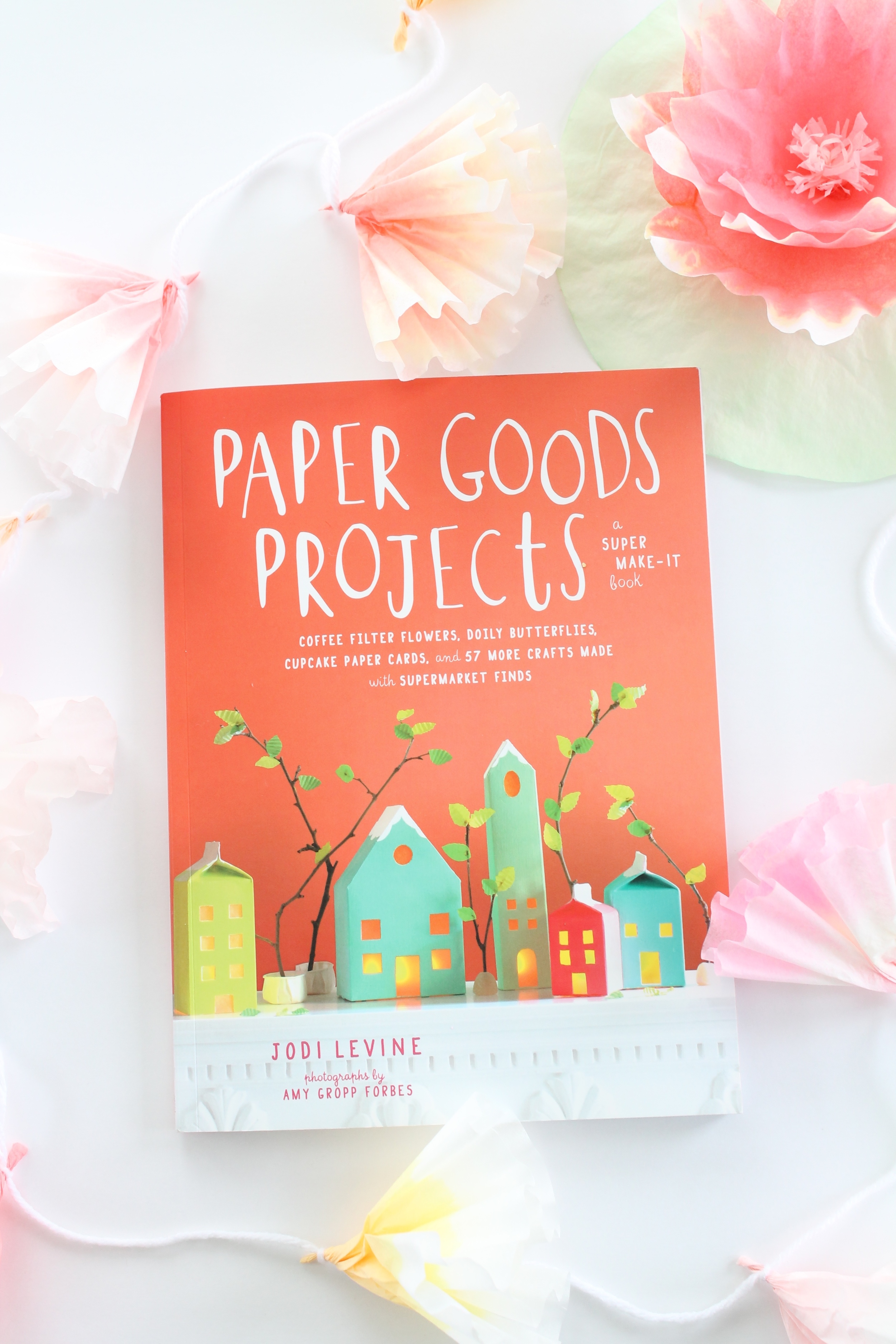 Book "Paper Goods Projects" by Jodi Levine. Full of fabulous, easy and inexpensive paper projects. My absolute favorite are the coffee filter flowers. So pretty and delicate!
