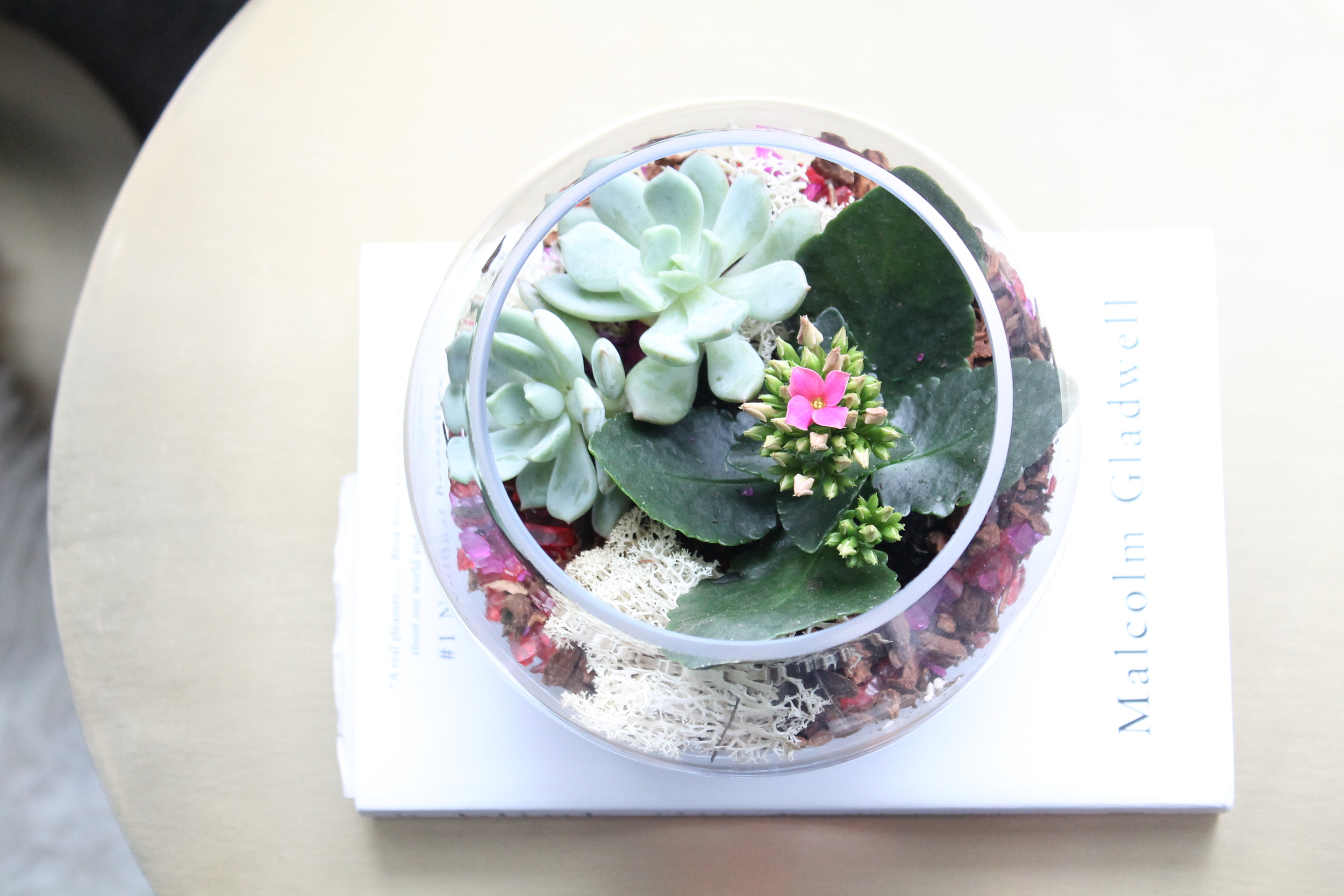 Terrarium atop a pink and gold martini table from West Elm.