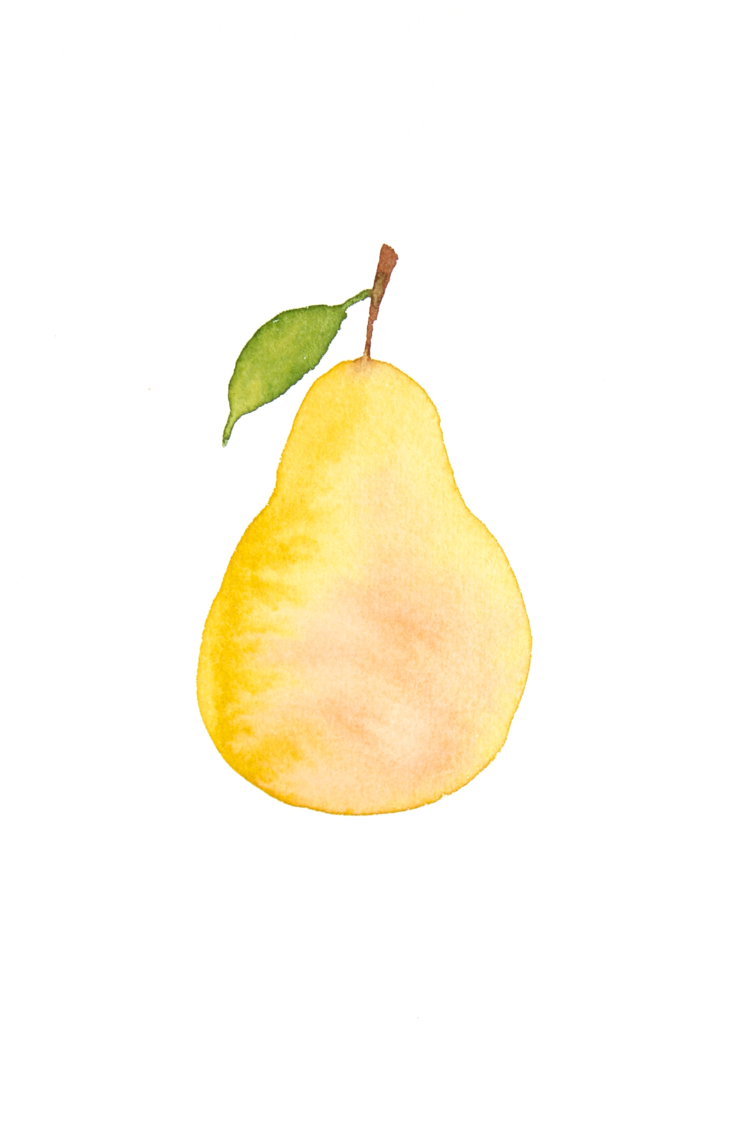 DIY water color pear for the kitchen.