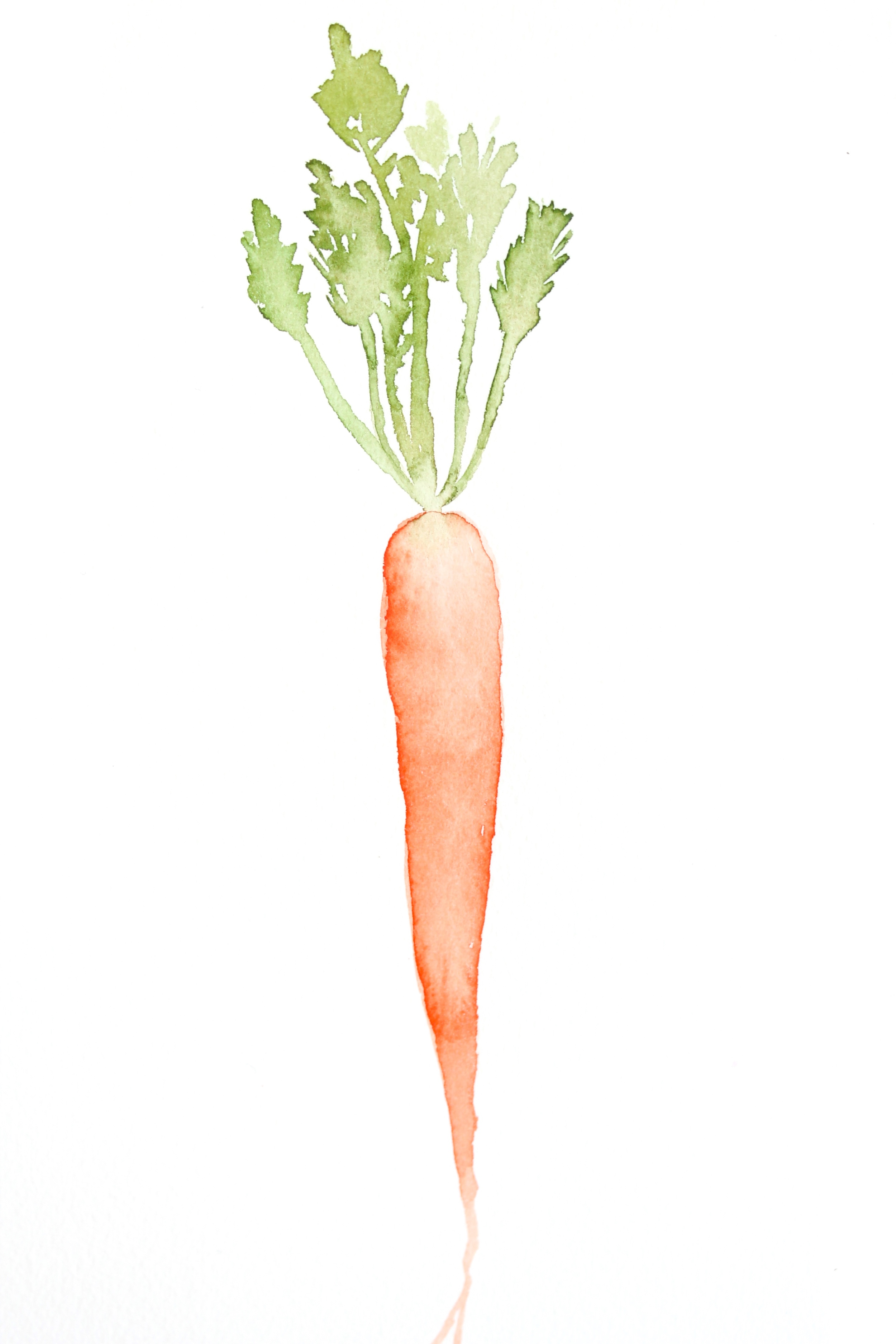 DIY water color carrot for the kitchen.