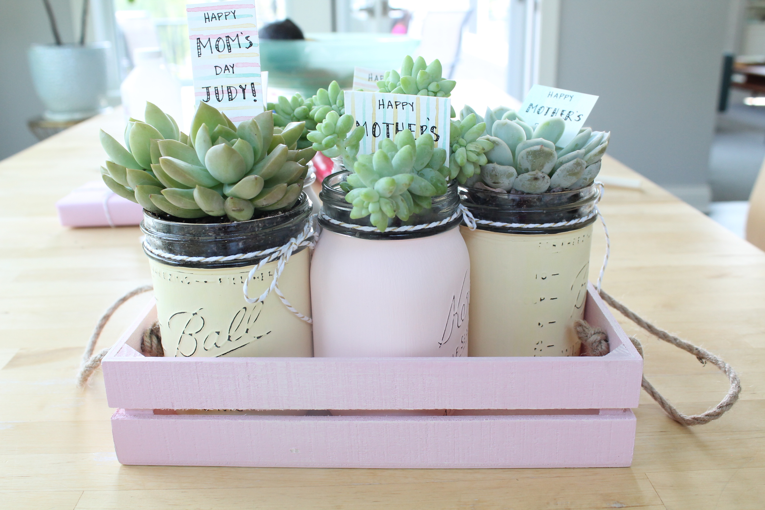 DIY Mother's Day Gift. Chalk Painted Mason Jars with Potted Succulents.