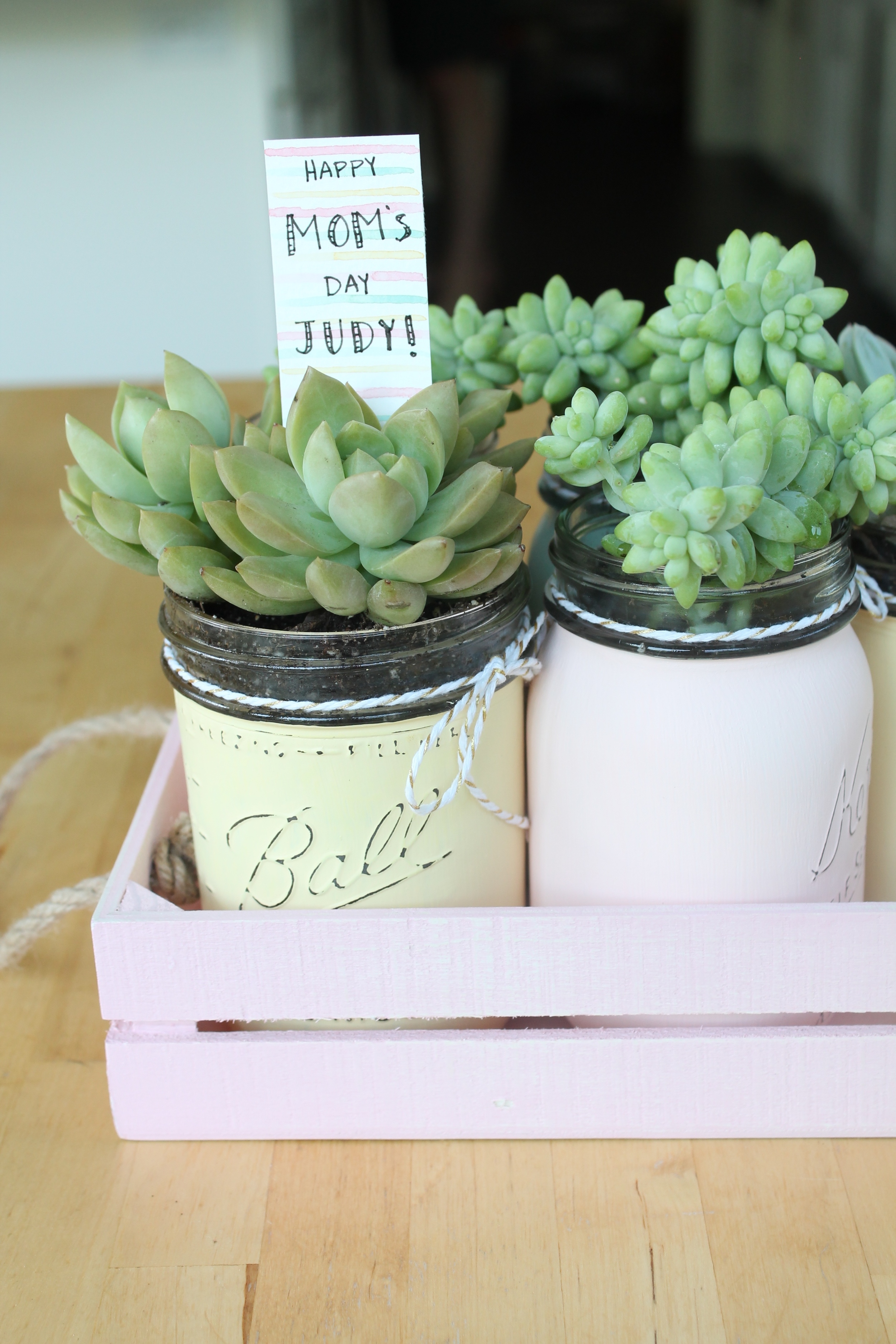DIY Mother's Day Gift. Chalk Painted Mason Jars with Potted Succulents.